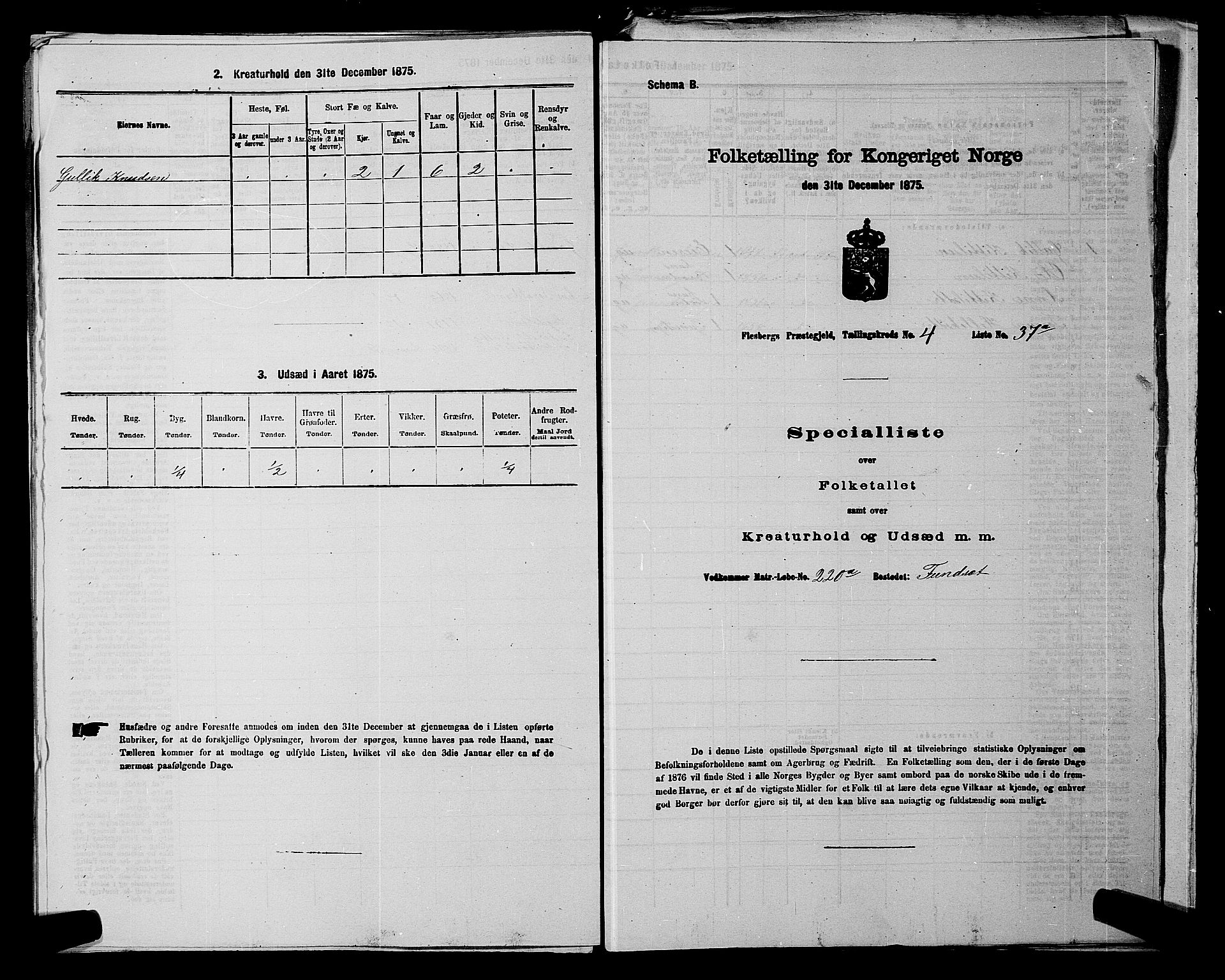 SAKO, 1875 census for 0631P Flesberg, 1875, p. 767