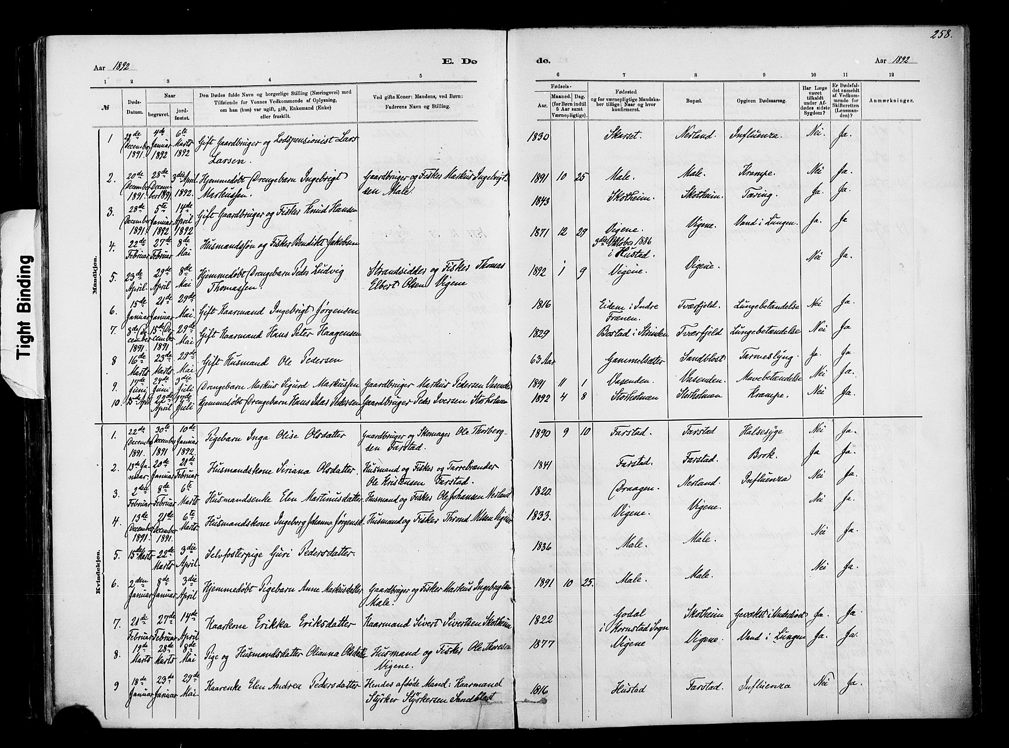 Ministerialprotokoller, klokkerbøker og fødselsregistre - Møre og Romsdal, AV/SAT-A-1454/567/L0778: Parish register (official) no. 567A01, 1881-1903, p. 258