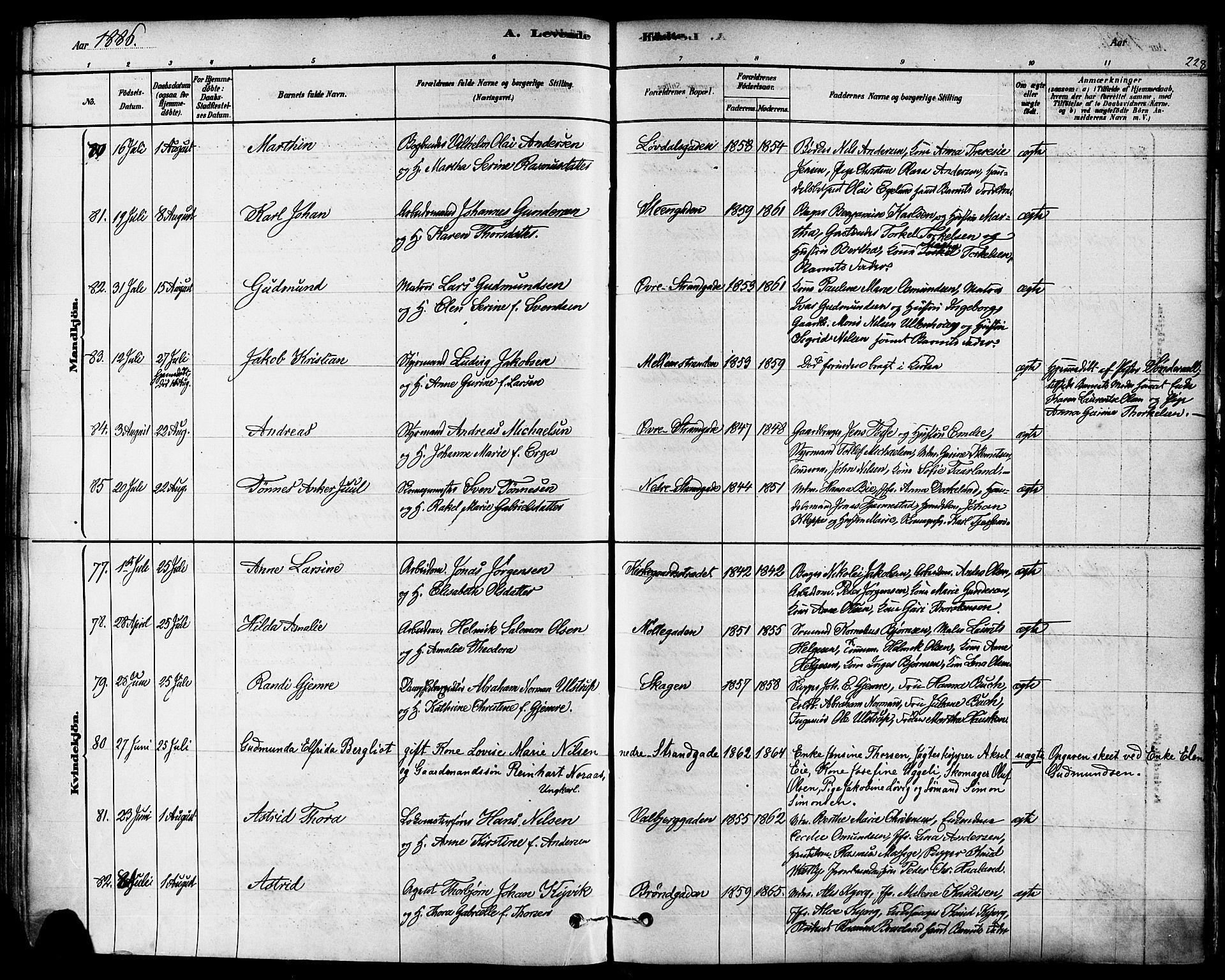 Domkirken sokneprestkontor, SAST/A-101812/001/30/30BA/L0026: Parish register (official) no. A 25, 1878-1889, p. 228