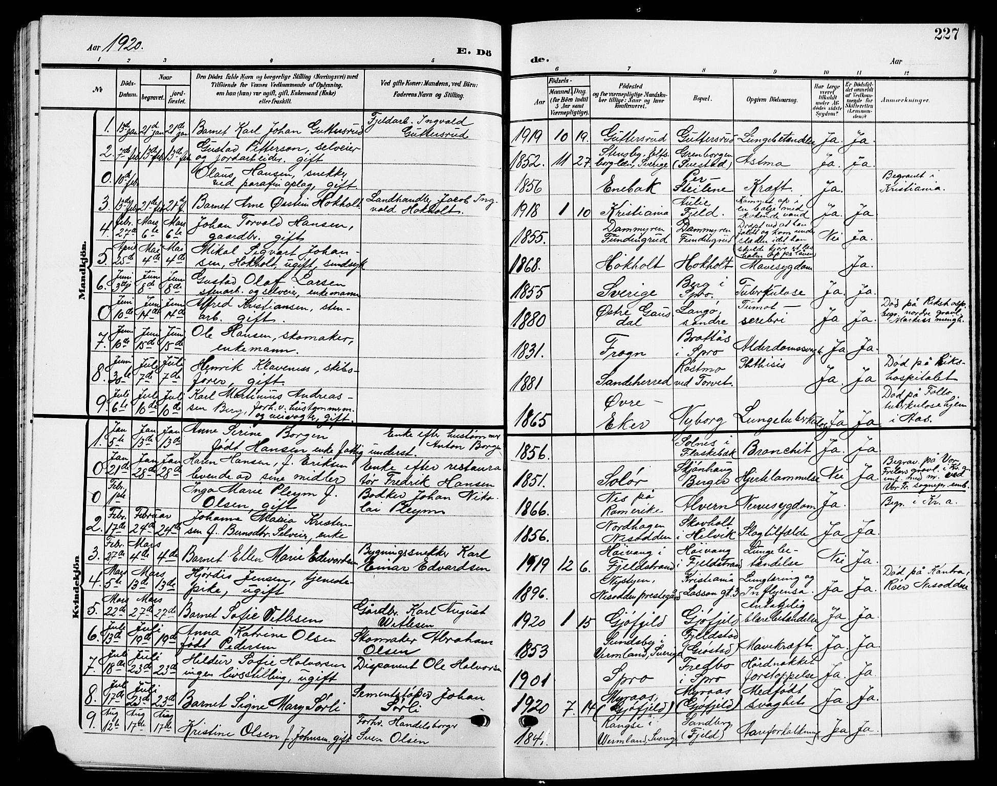 Nesodden prestekontor Kirkebøker, SAO/A-10013/G/Ga/L0002: Parish register (copy) no. I 2, 1905-1924, p. 227