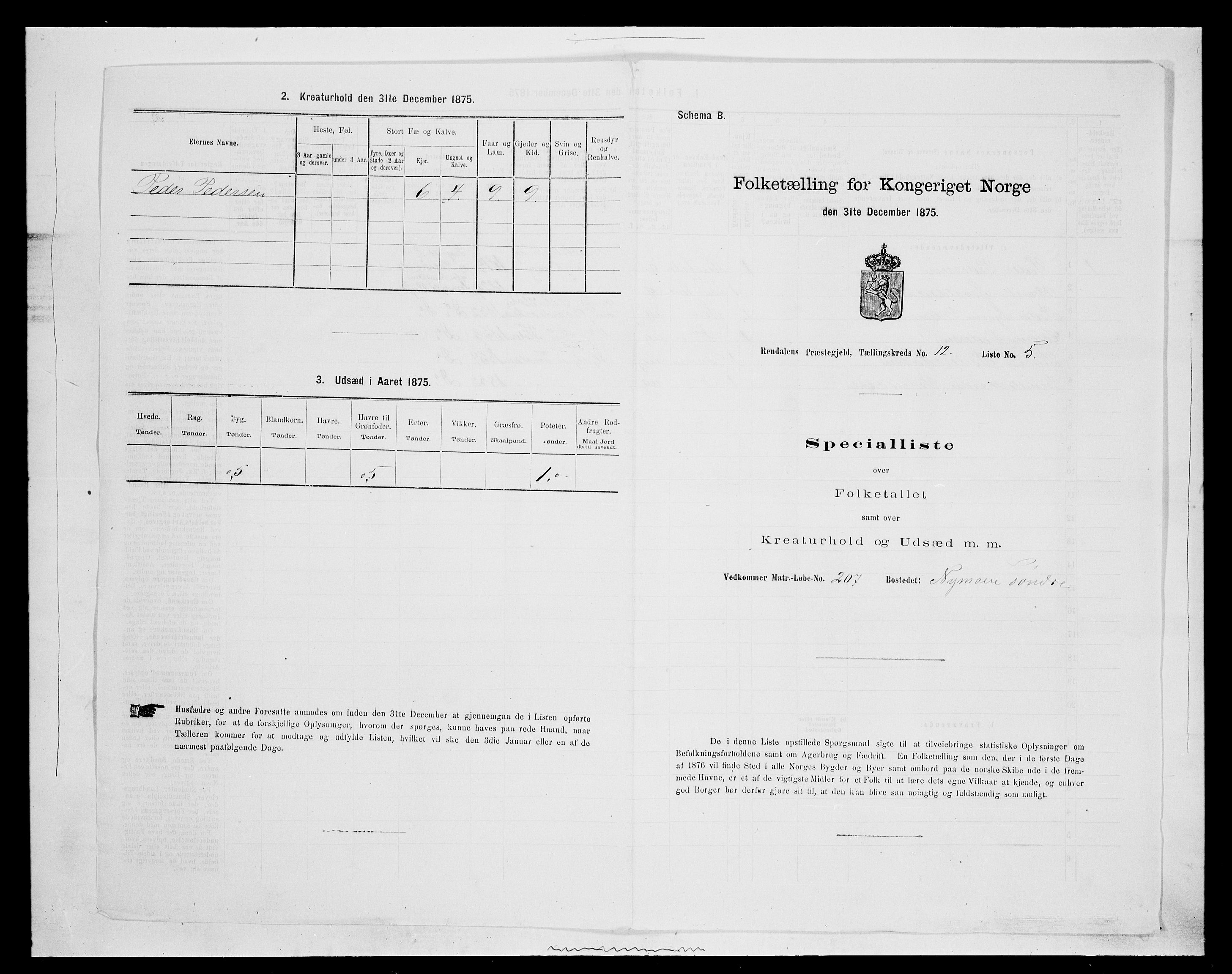 SAH, 1875 census for 0432P Rendalen, 1875, p. 1040