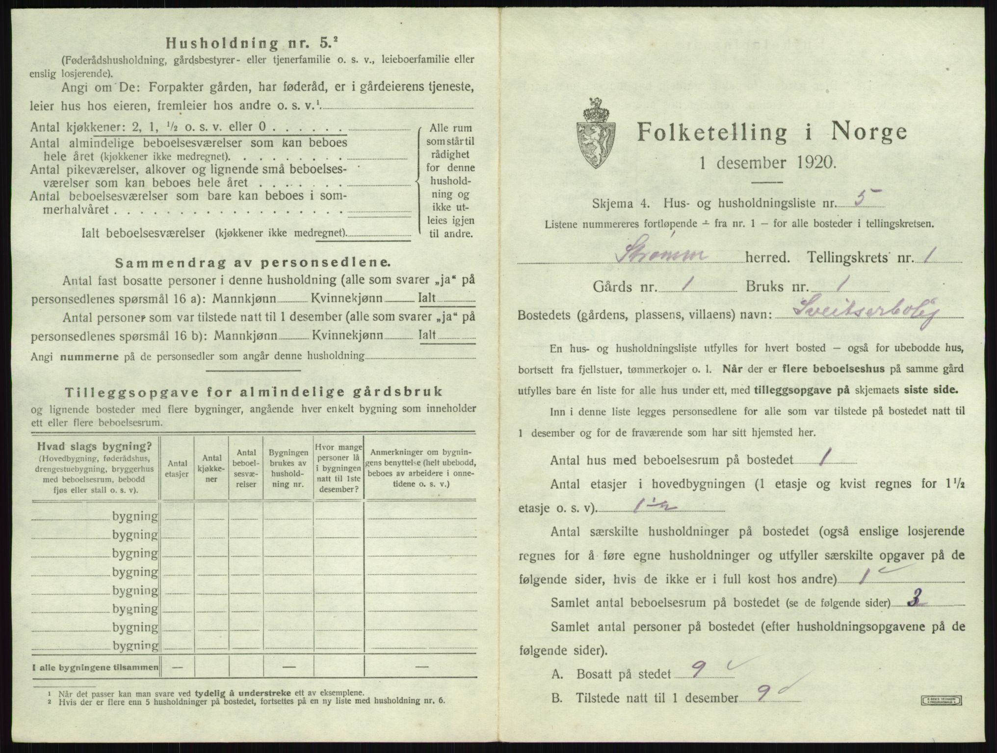 SAKO, 1920 census for Strømm, 1920, p. 28