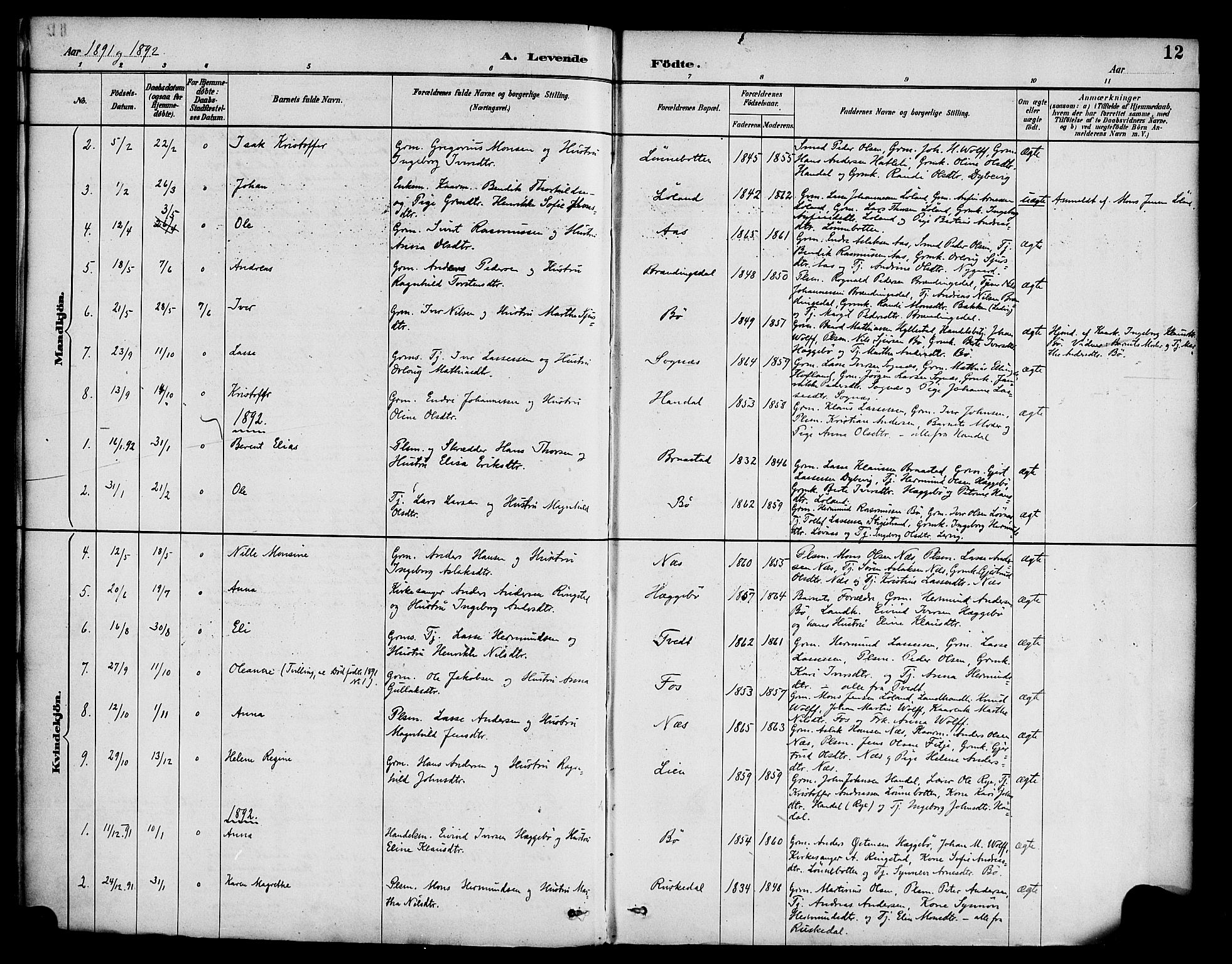 Hyllestad sokneprestembete, SAB/A-80401: Parish register (official) no. C 1, 1886-1904, p. 12