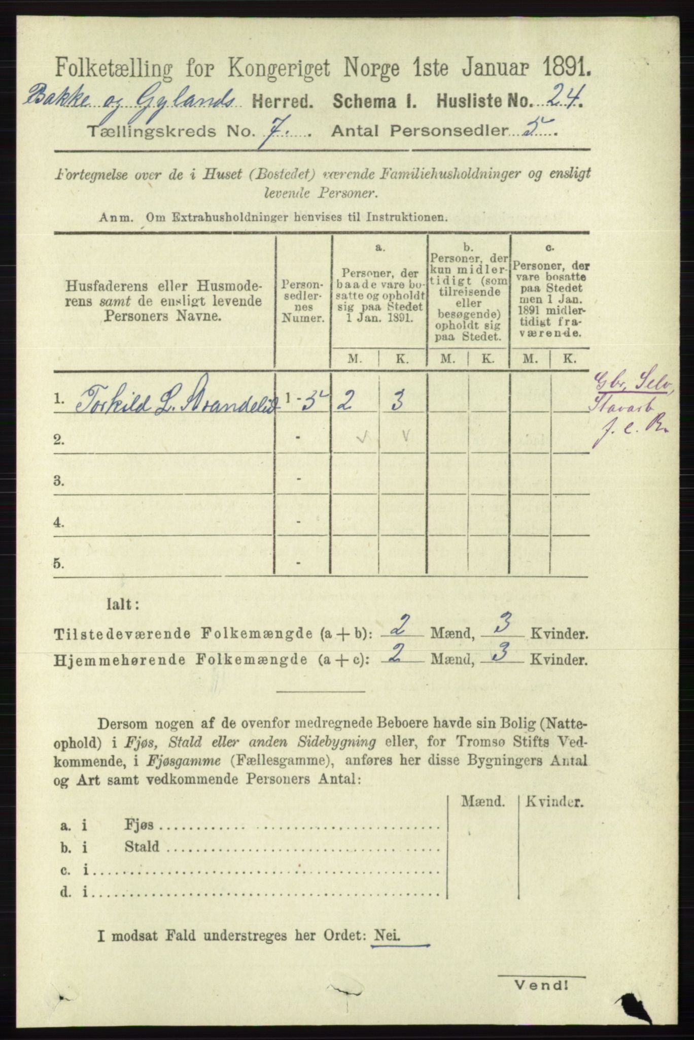 RA, 1891 census for 1045 Bakke, 1891, p. 1299