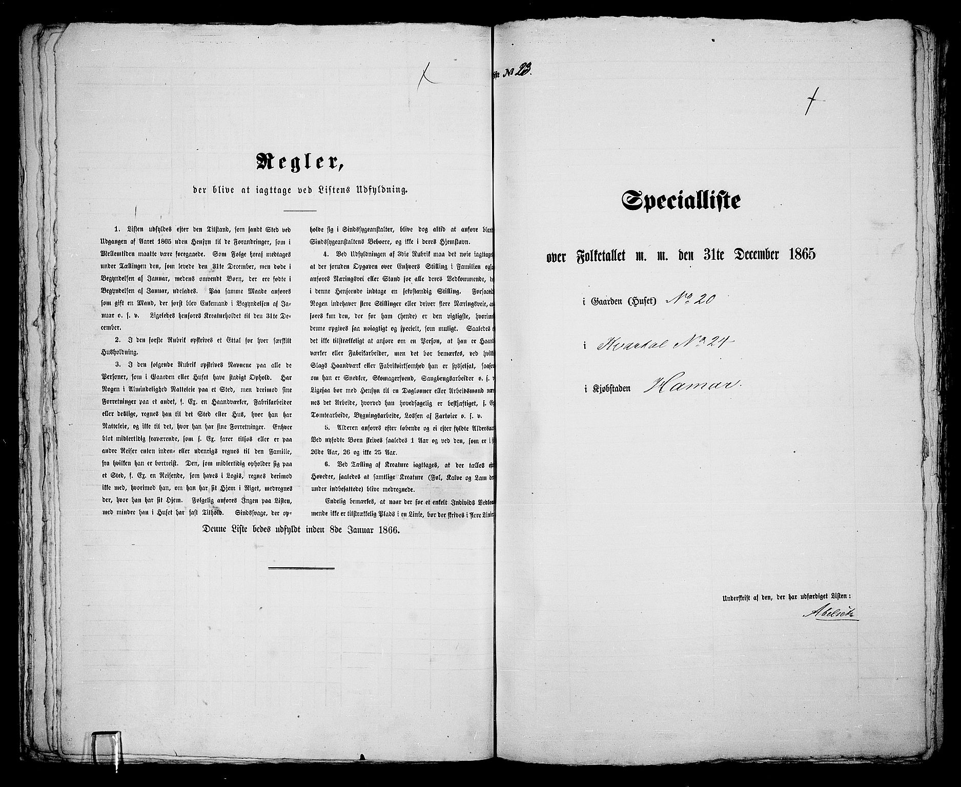 RA, 1865 census for Vang/Hamar, 1865, p. 53