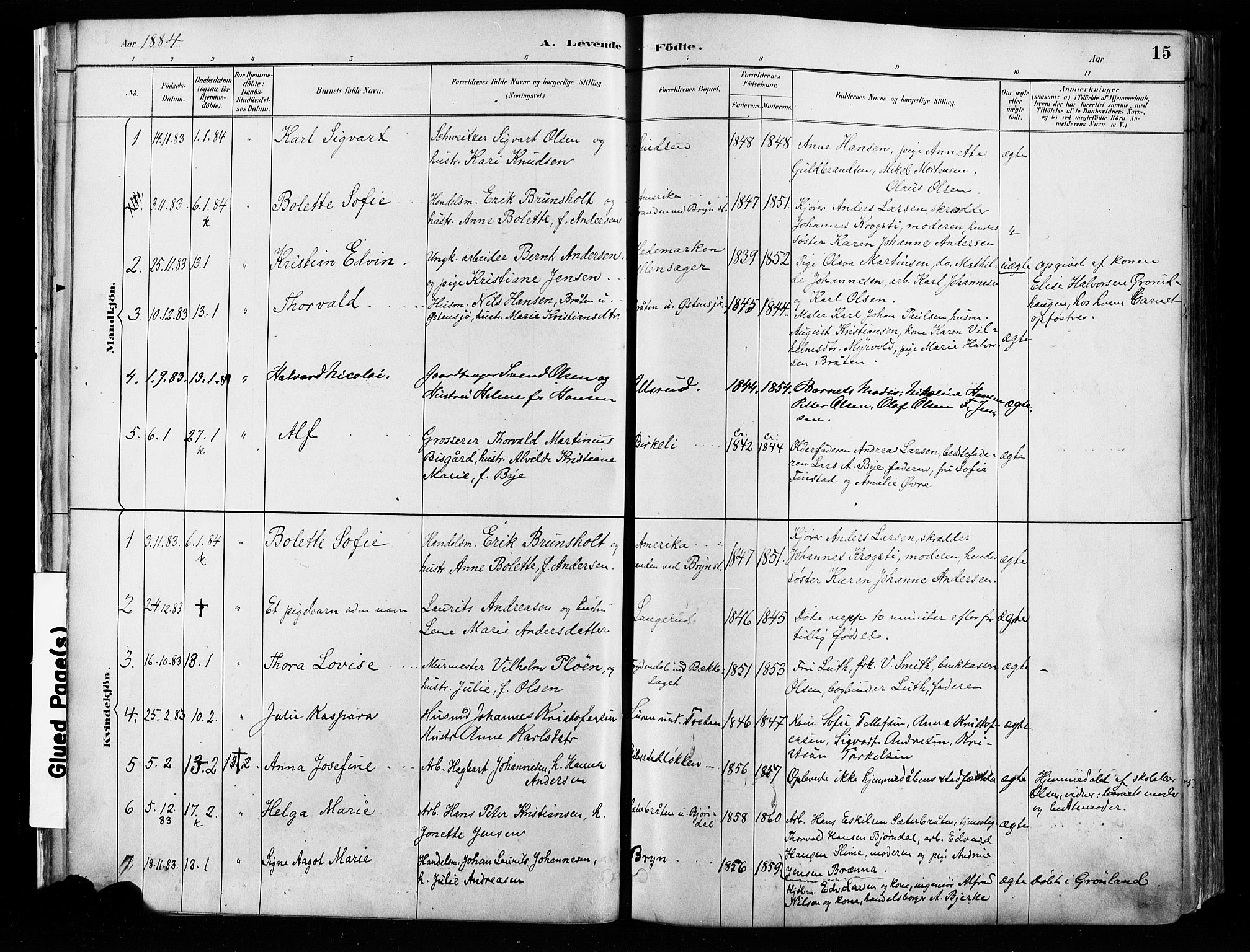 Østre Aker prestekontor Kirkebøker, SAO/A-10840/F/Fa/L0008: Parish register (official) no. I 8, 1883-1894, p. 15