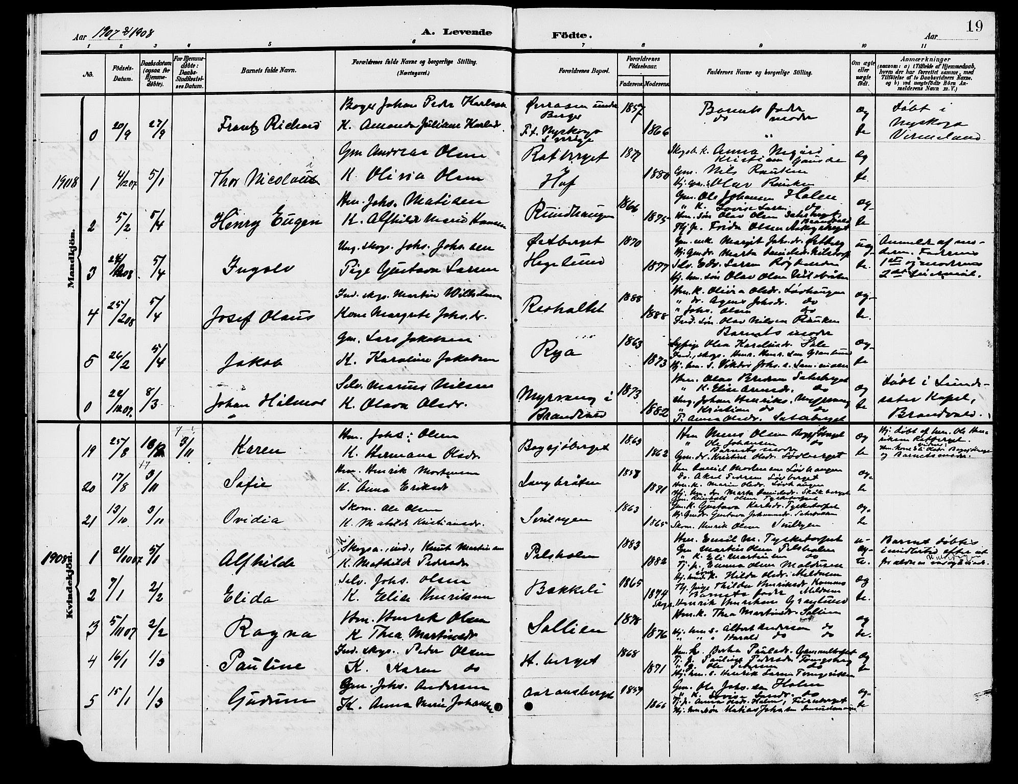 Grue prestekontor, AV/SAH-PREST-036/H/Ha/Hab/L0006: Parish register (copy) no. 6, 1902-1910, p. 19