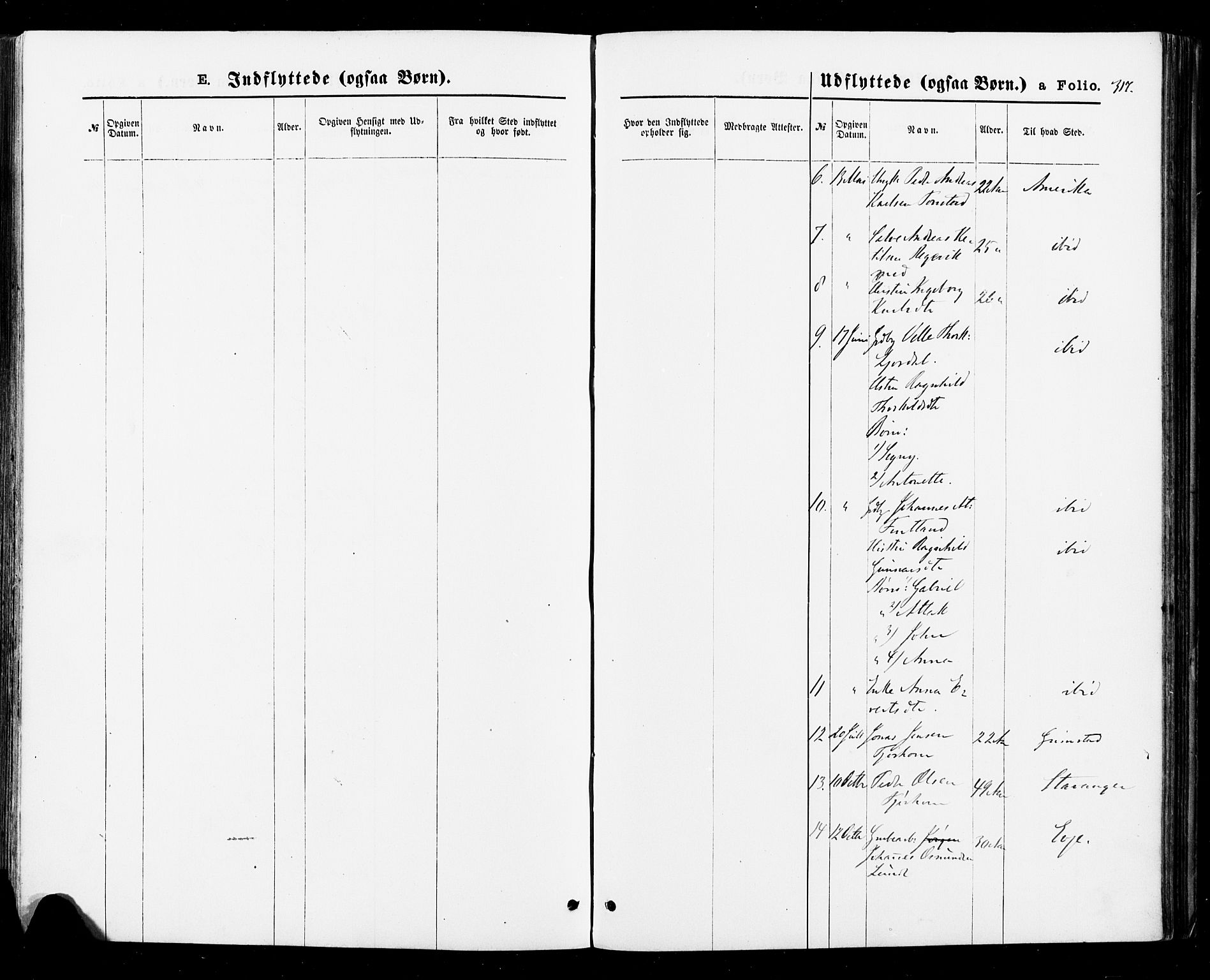 Sirdal sokneprestkontor, AV/SAK-1111-0036/F/Fa/Fab/L0003: Parish register (official) no. A 3, 1874-1886, p. 317