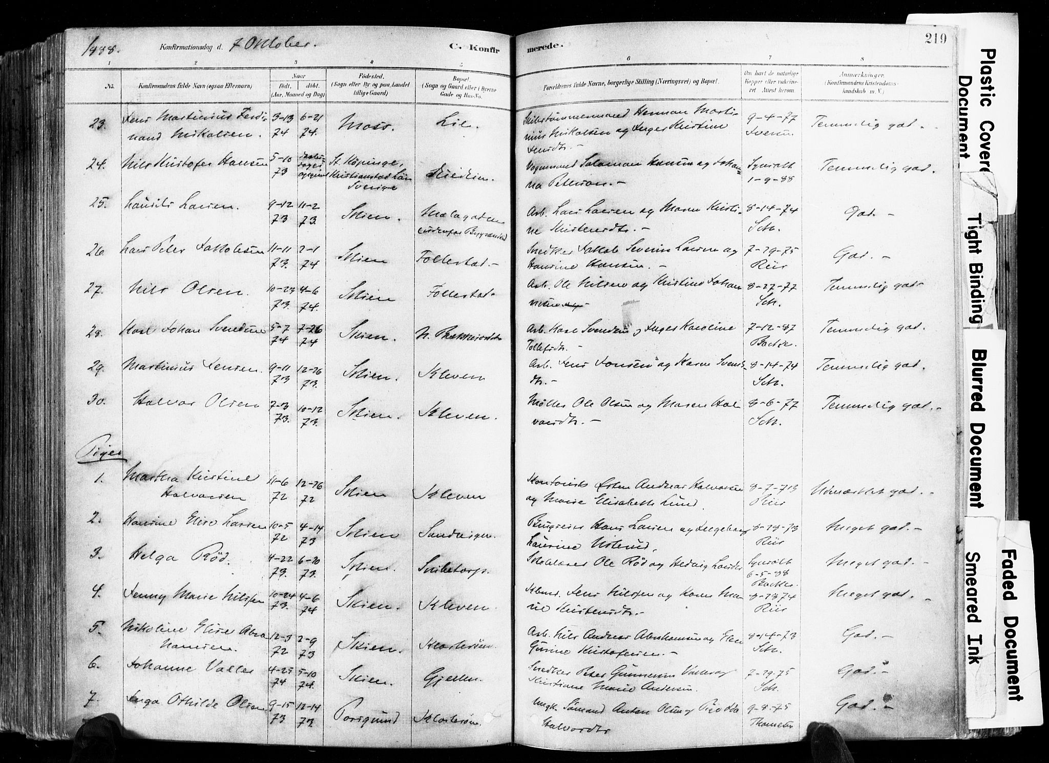 Skien kirkebøker, SAKO/A-302/F/Fa/L0009: Parish register (official) no. 9, 1878-1890, p. 219