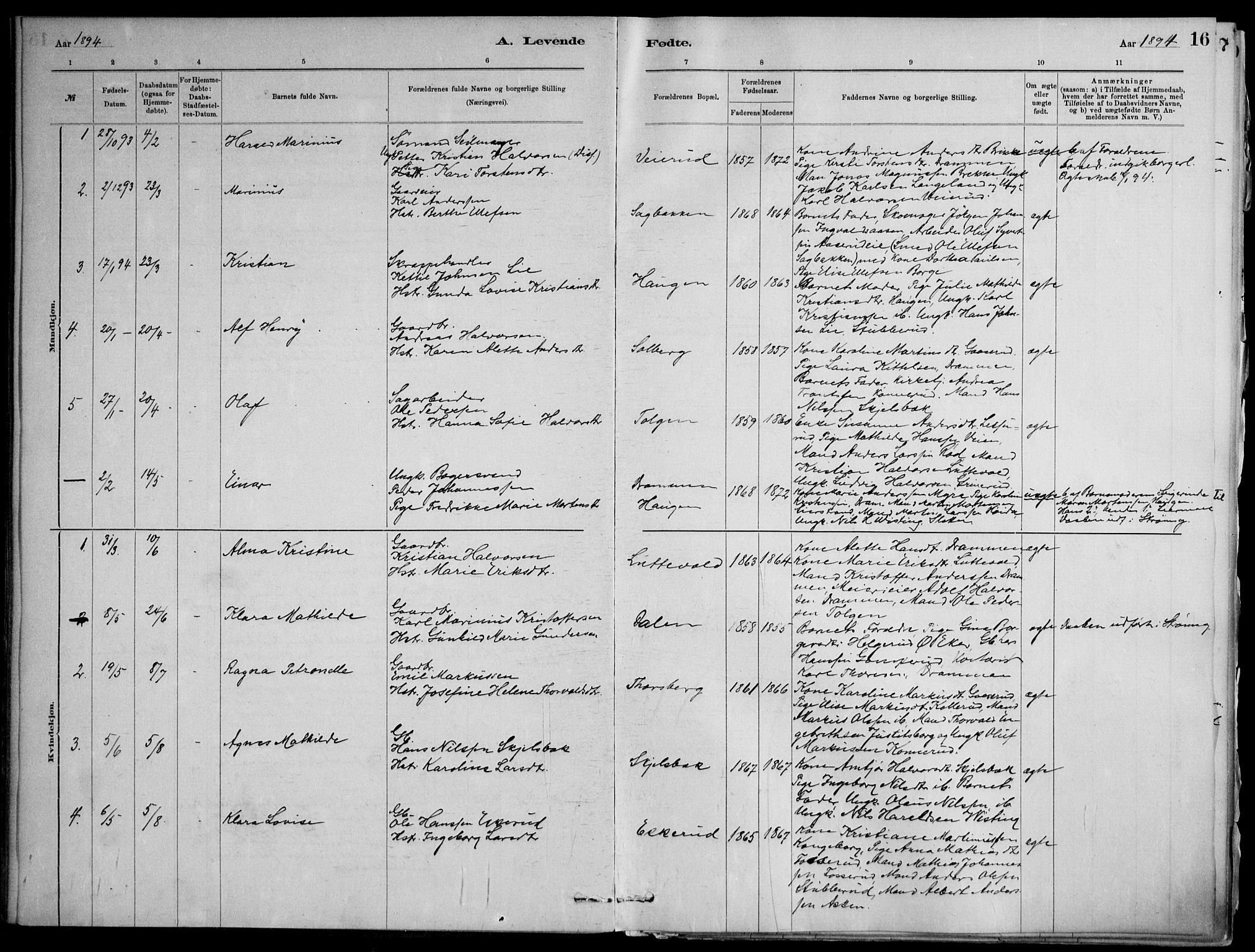 Skoger kirkebøker, AV/SAKO-A-59/F/Fb/L0001: Parish register (official) no. II 1, 1885-1913, p. 16