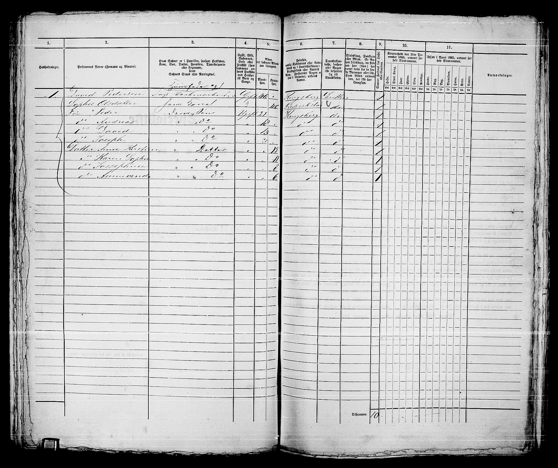 RA, 1865 census for Kongsberg/Kongsberg, 1865, p. 1221