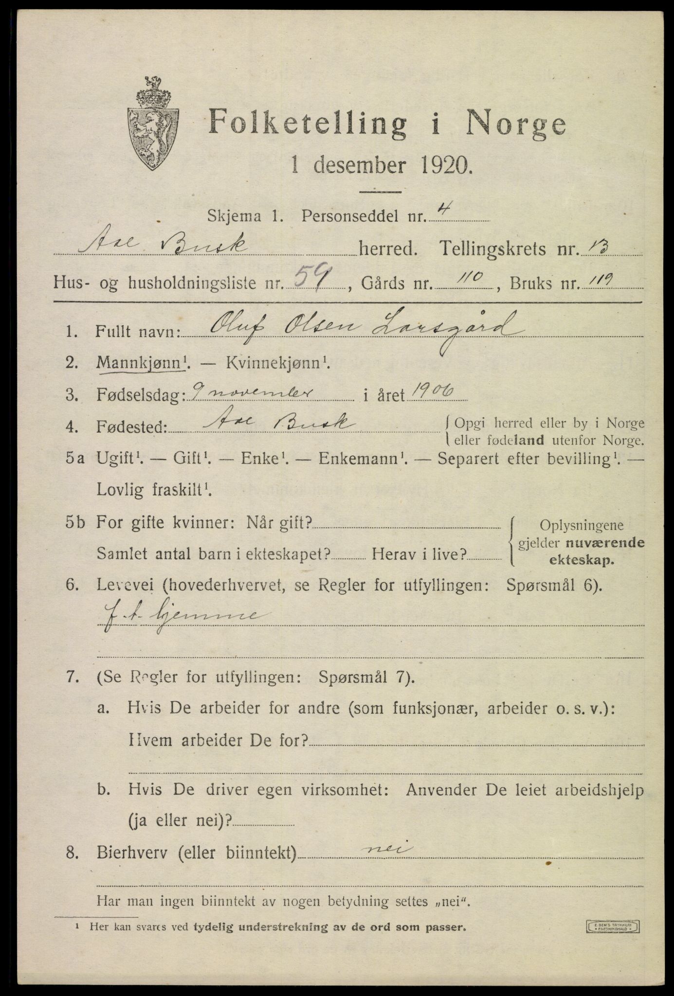 SAKO, 1920 census for Ål, 1920, p. 8060