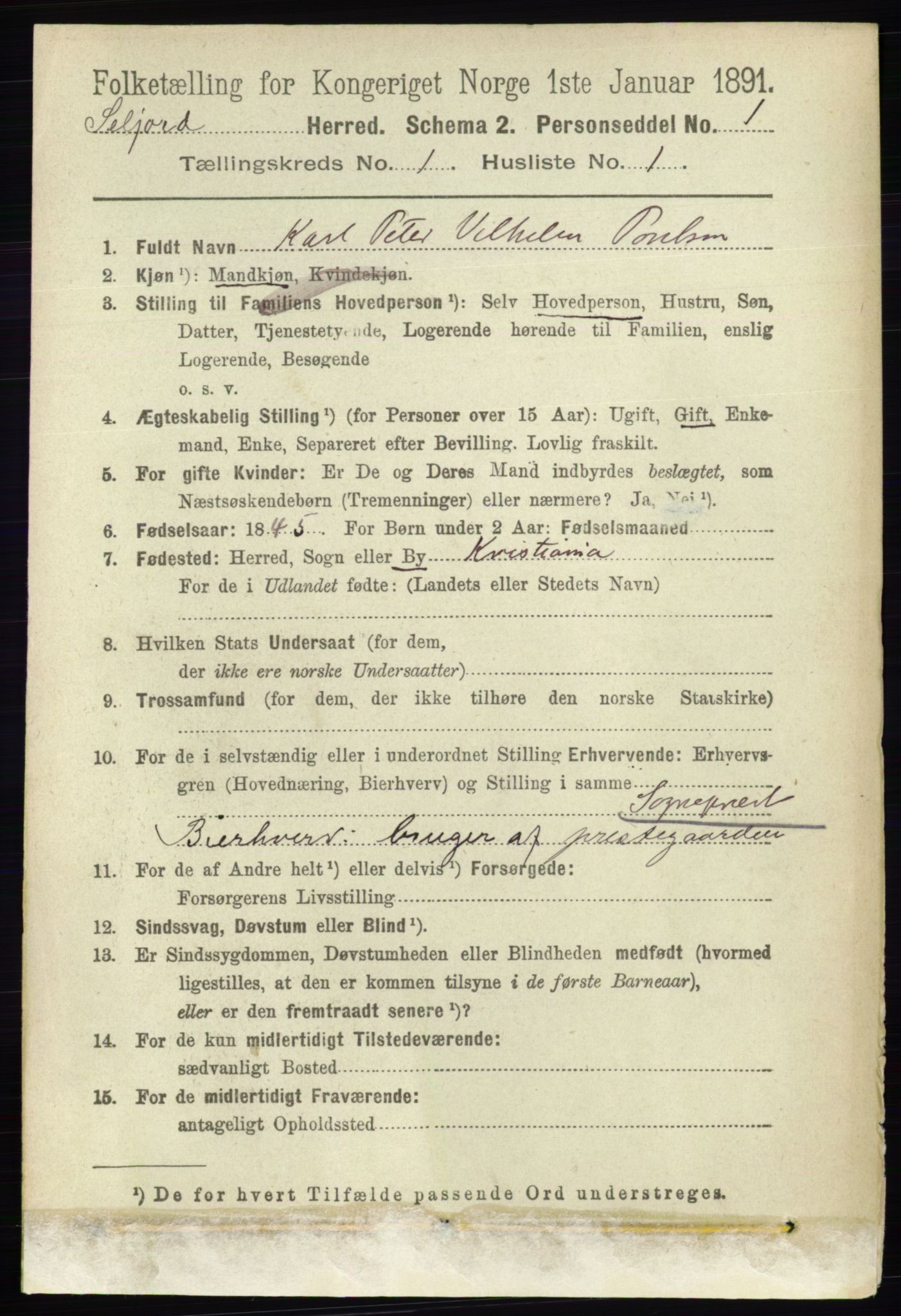 RA, 1891 census for 0828 Seljord, 1891, p. 107