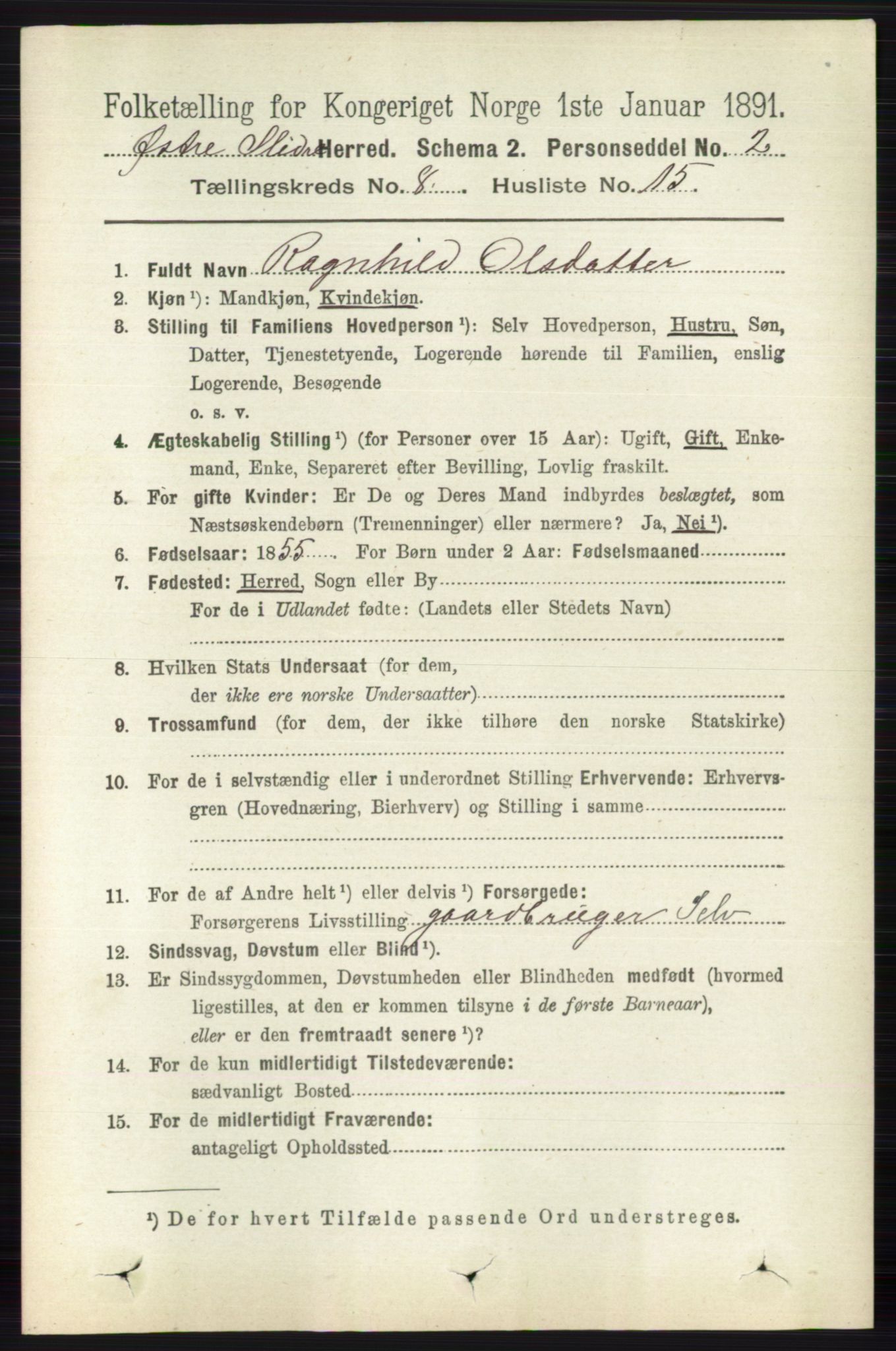 RA, 1891 census for 0544 Øystre Slidre, 1891, p. 2642