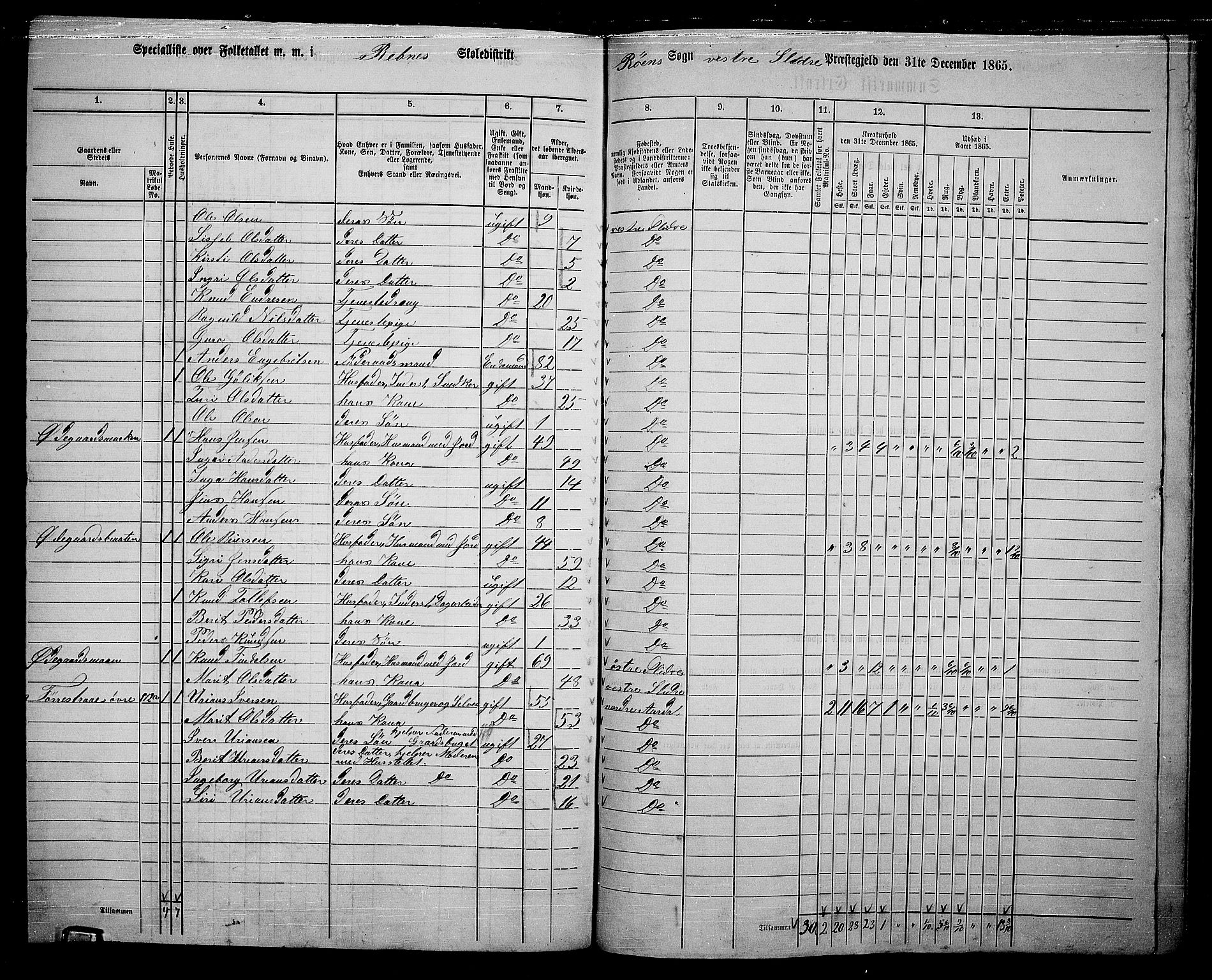 RA, 1865 census for Vestre Slidre, 1865, p. 133