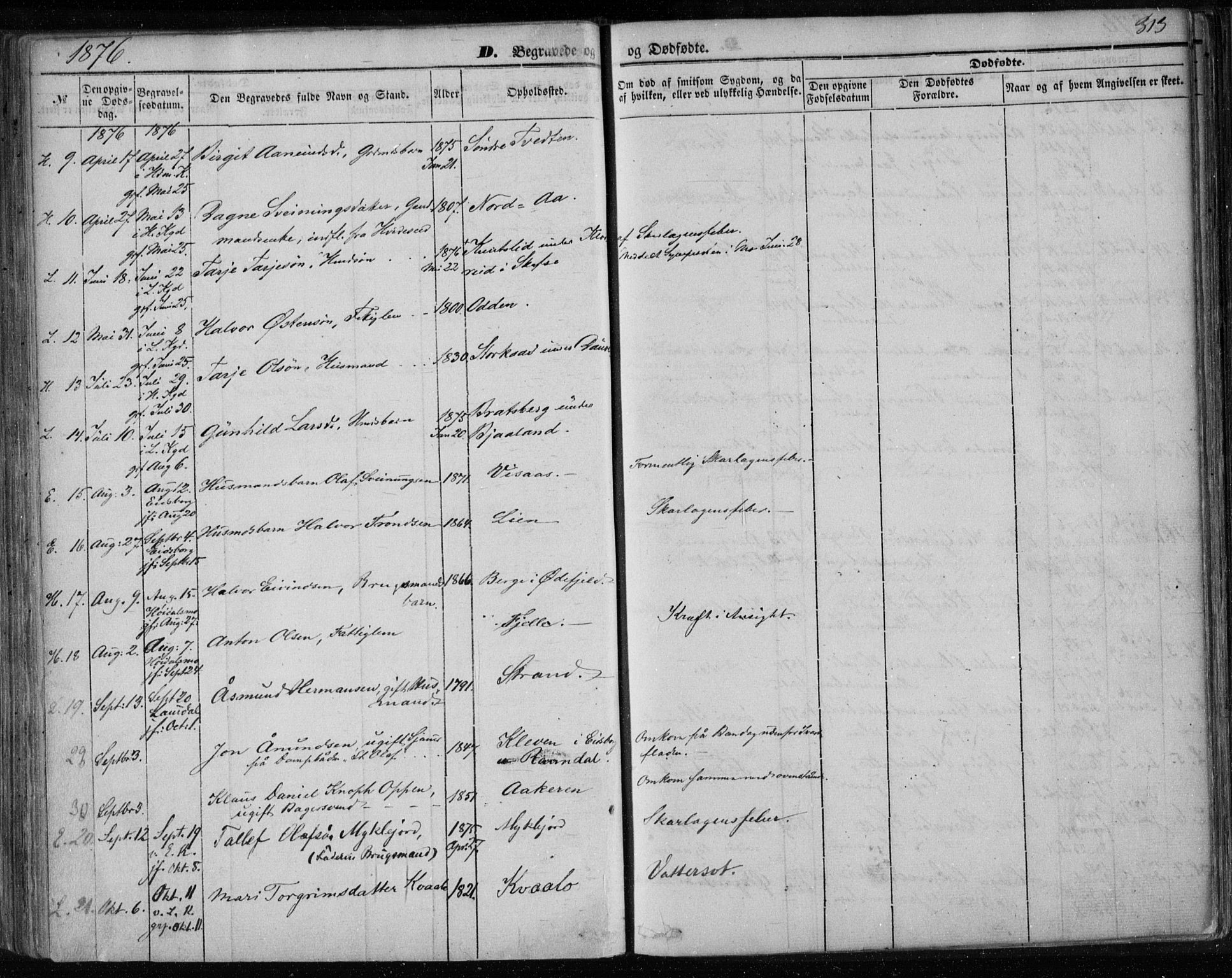 Lårdal kirkebøker, AV/SAKO-A-284/F/Fa/L0006: Parish register (official) no. I 6, 1861-1886, p. 313