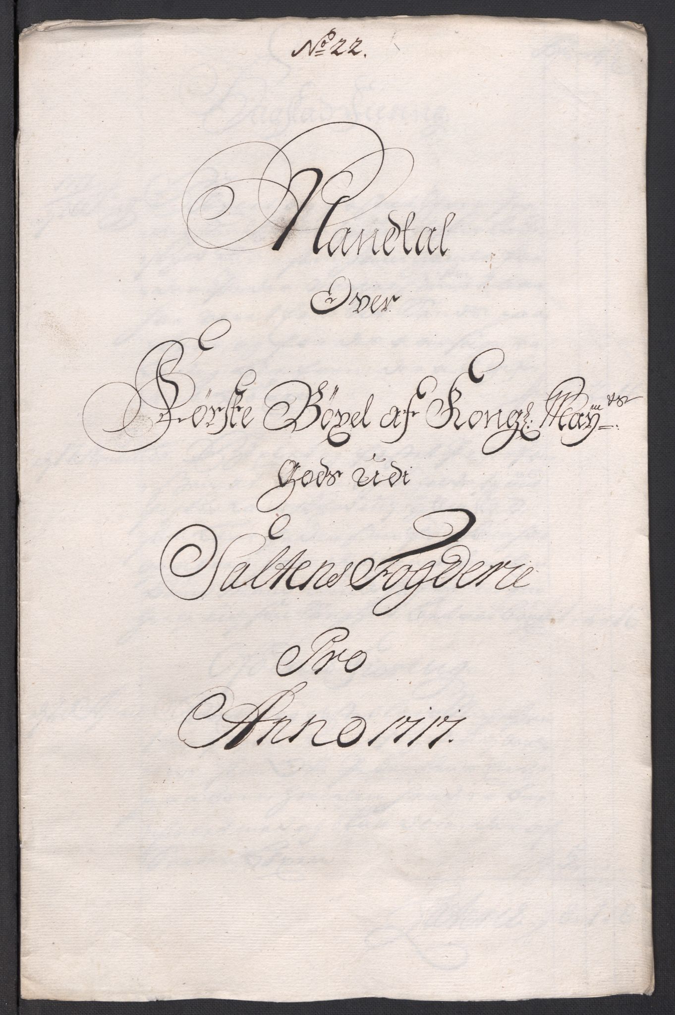 Rentekammeret inntil 1814, Reviderte regnskaper, Fogderegnskap, AV/RA-EA-4092/R66/L4587: Fogderegnskap Salten, 1717, p. 254