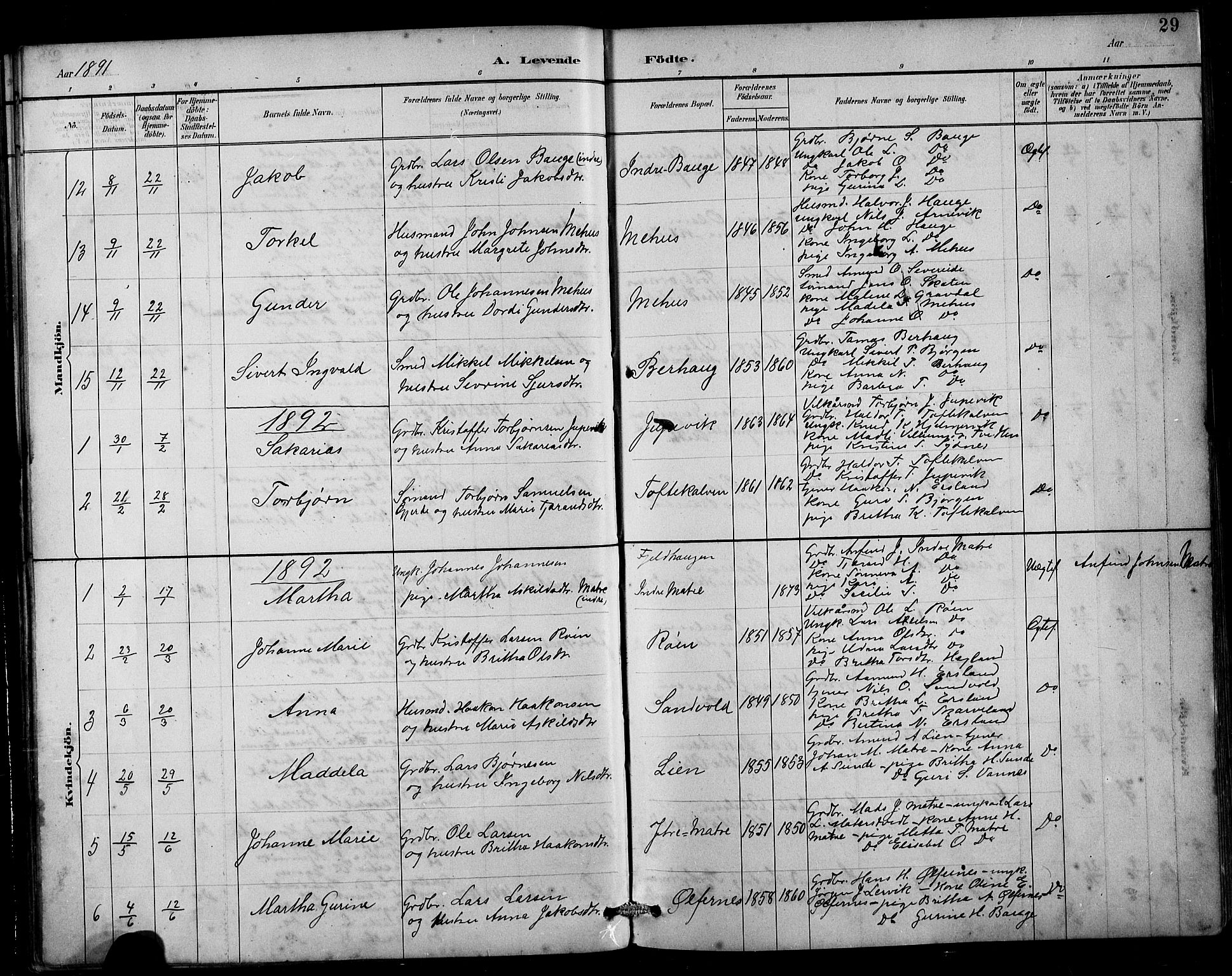 Husnes Sokneprestembete, AV/SAB-A-75901/H/Hab: Parish register (copy) no. B 2, 1884-1914, p. 29