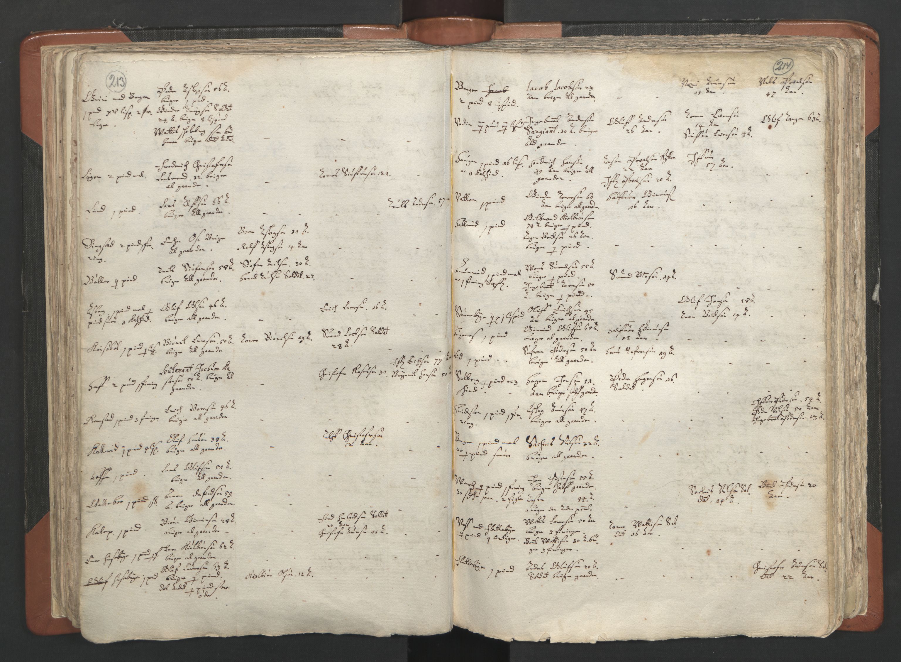 RA, Vicar's Census 1664-1666, no. 2: Øvre Borgesyssel deanery, 1664-1666, p. 213-214