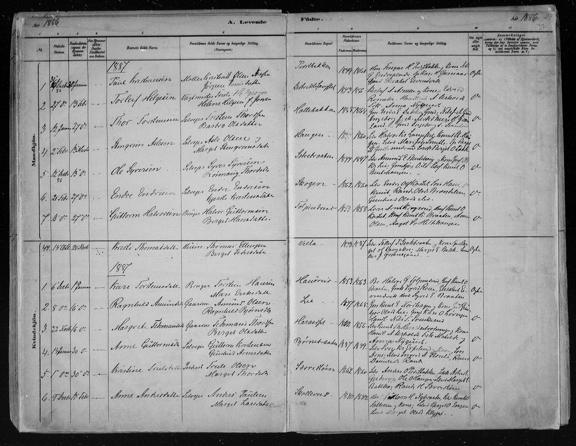 Nes kirkebøker, SAKO/A-236/F/Fa/L0011: Parish register (official) no. 11, 1881-1912, p. 37