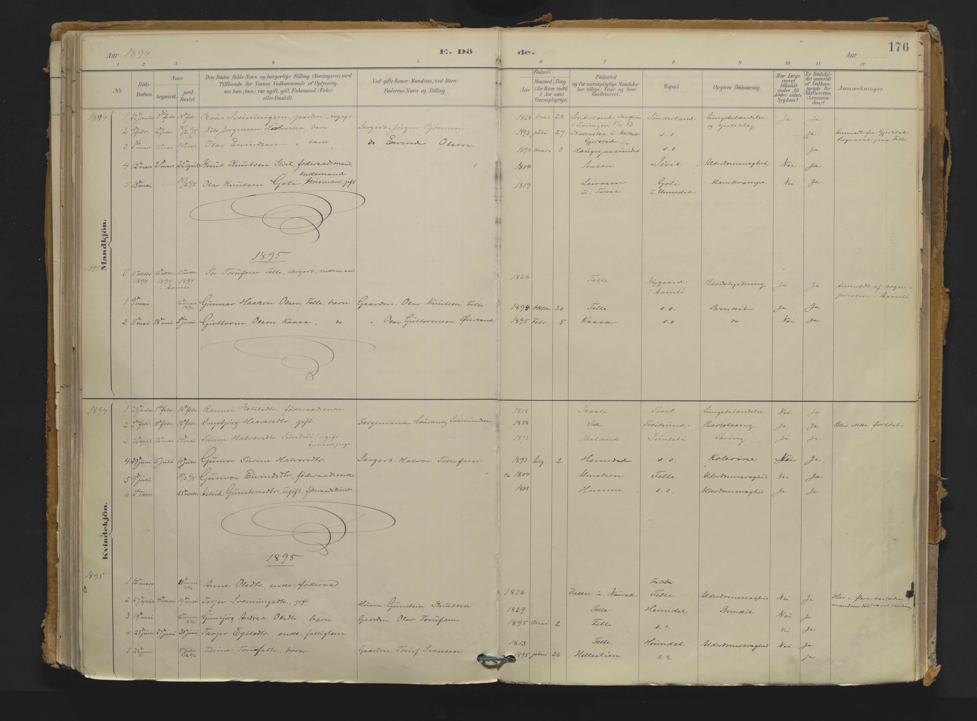 Nissedal kirkebøker, AV/SAKO-A-288/F/Fb/L0002: Parish register (official) no. II 2, 1887-1924, p. 176