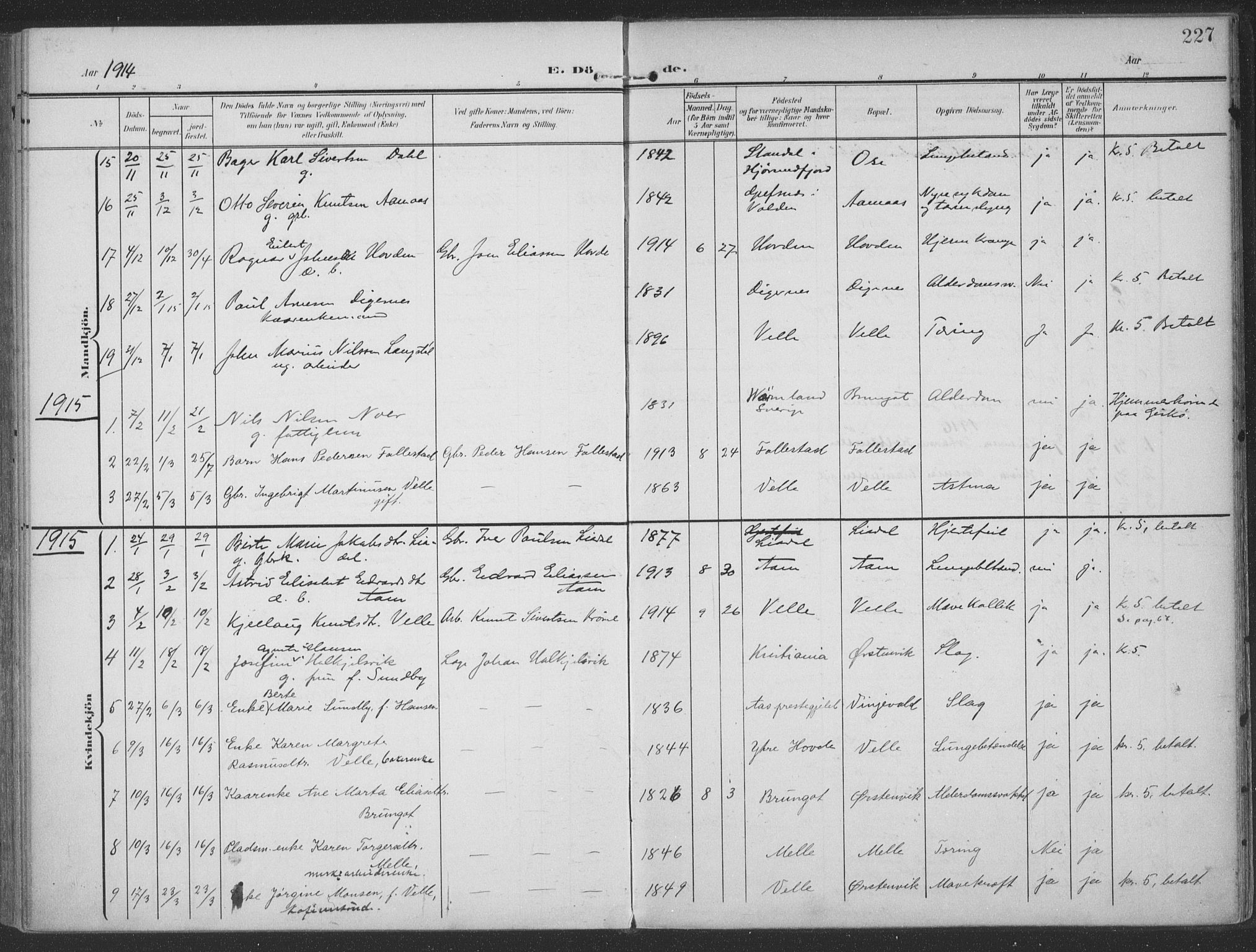 Ministerialprotokoller, klokkerbøker og fødselsregistre - Møre og Romsdal, SAT/A-1454/513/L0178: Parish register (official) no. 513A05, 1906-1919, p. 227