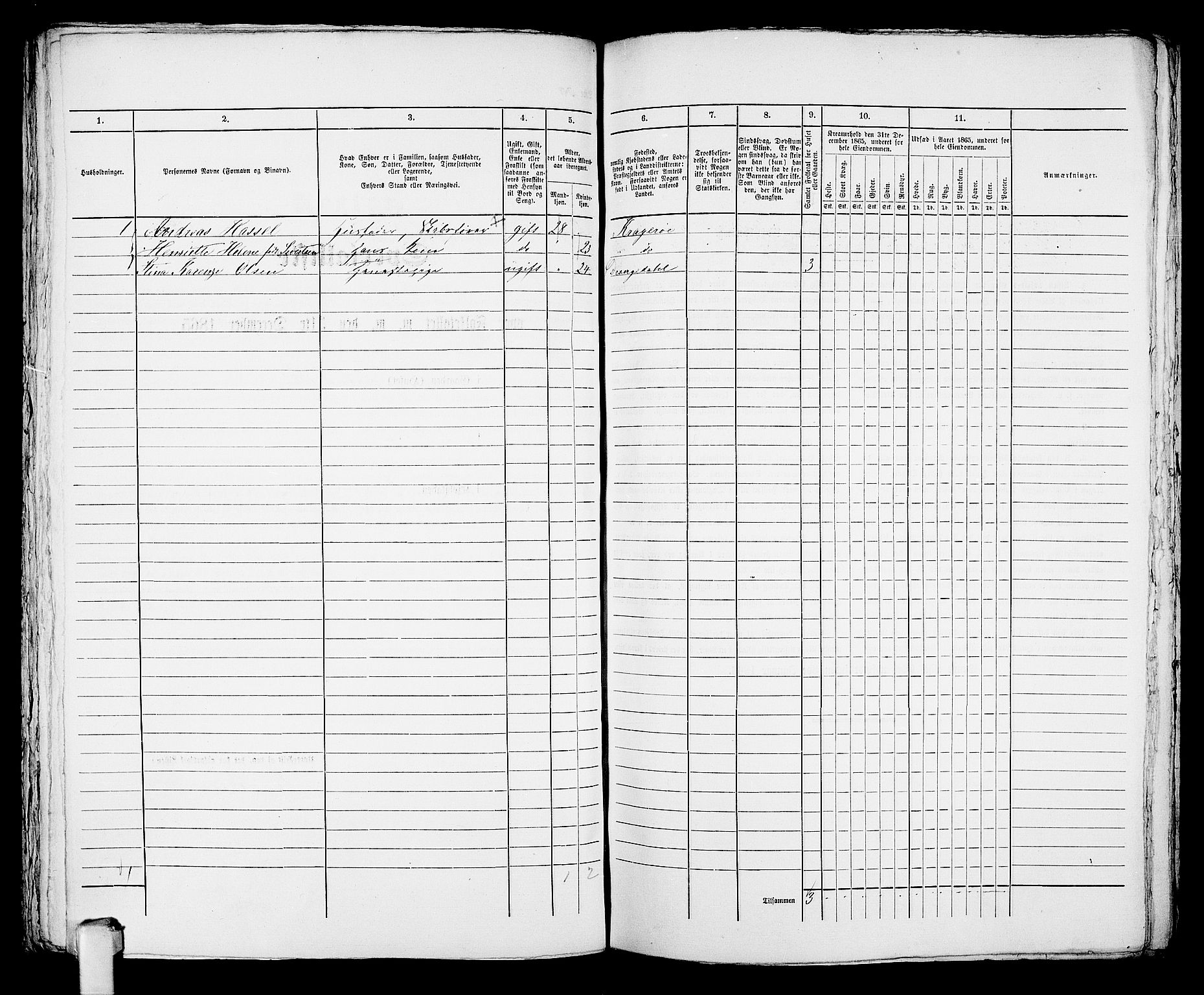 RA, 1865 census for Kragerø/Kragerø, 1865, p. 815