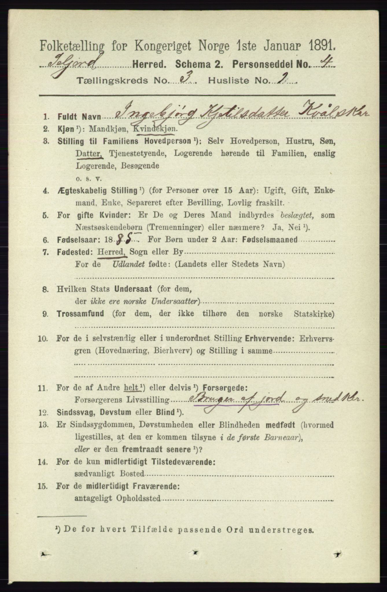 RA, 1891 census for 0828 Seljord, 1891, p. 985