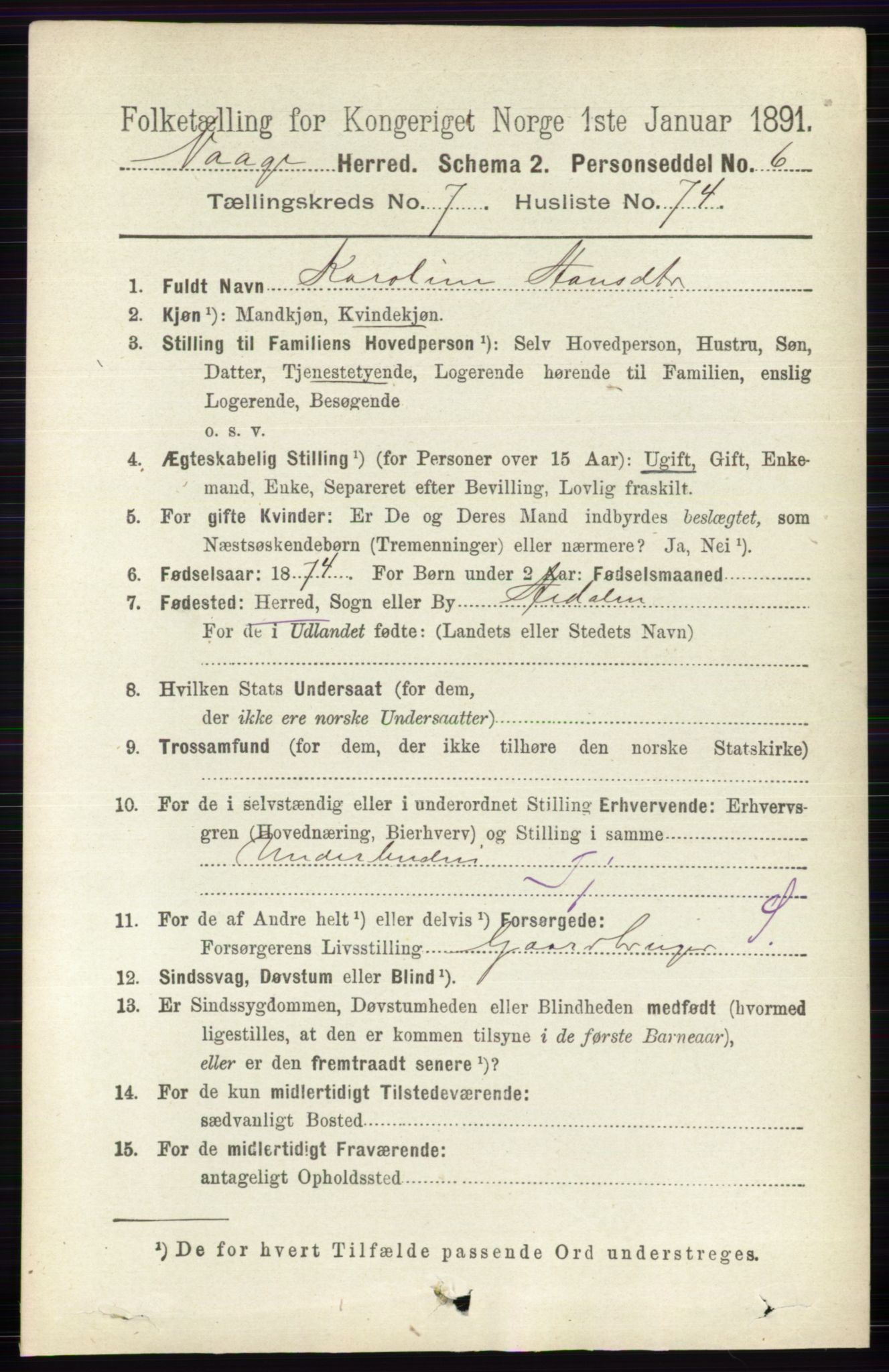 RA, 1891 census for 0515 Vågå, 1891, p. 4788