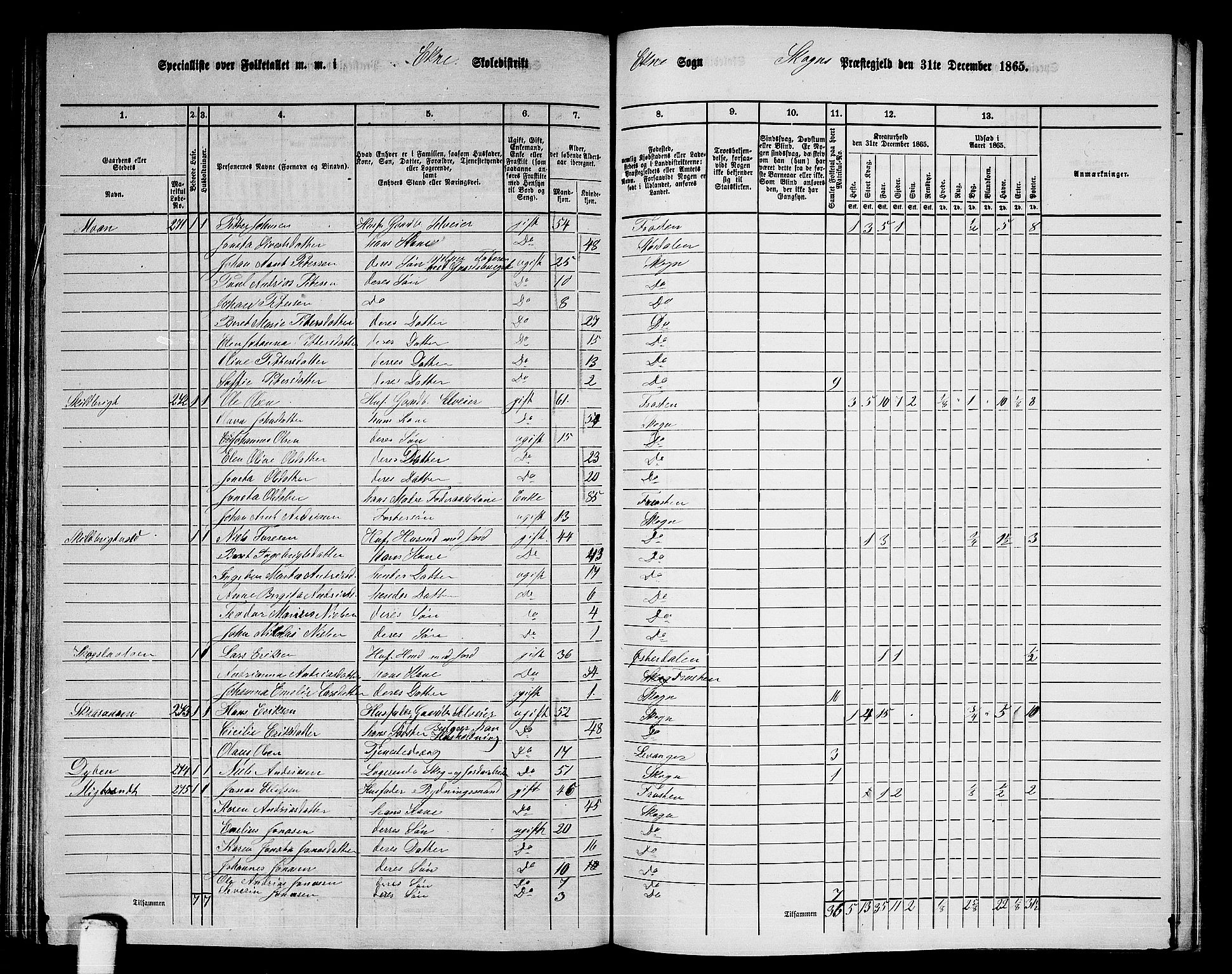 RA, 1865 census for Skogn, 1865, p. 145