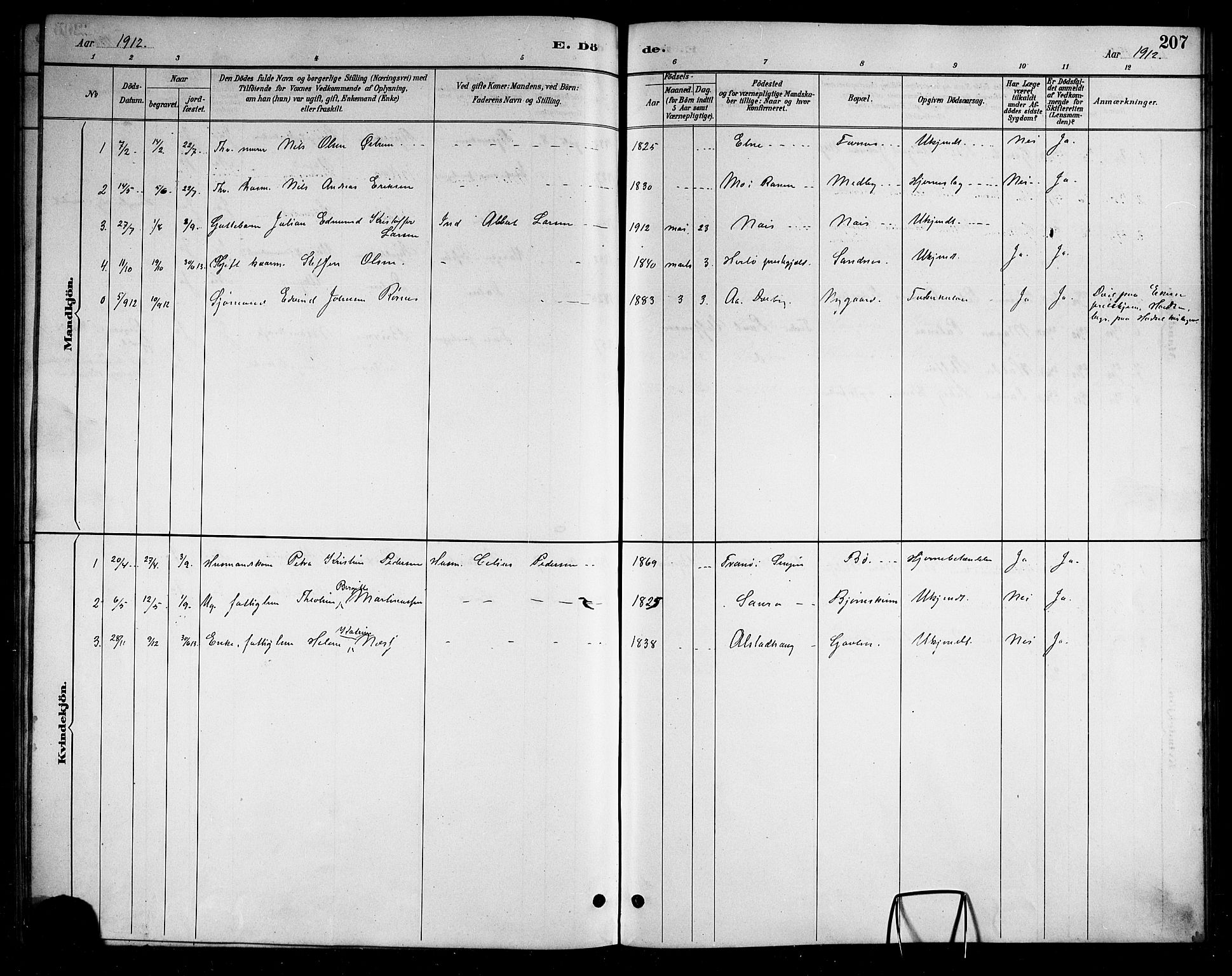 Ministerialprotokoller, klokkerbøker og fødselsregistre - Nordland, AV/SAT-A-1459/898/L1427: Parish register (copy) no. 898C02, 1887-1917, p. 207