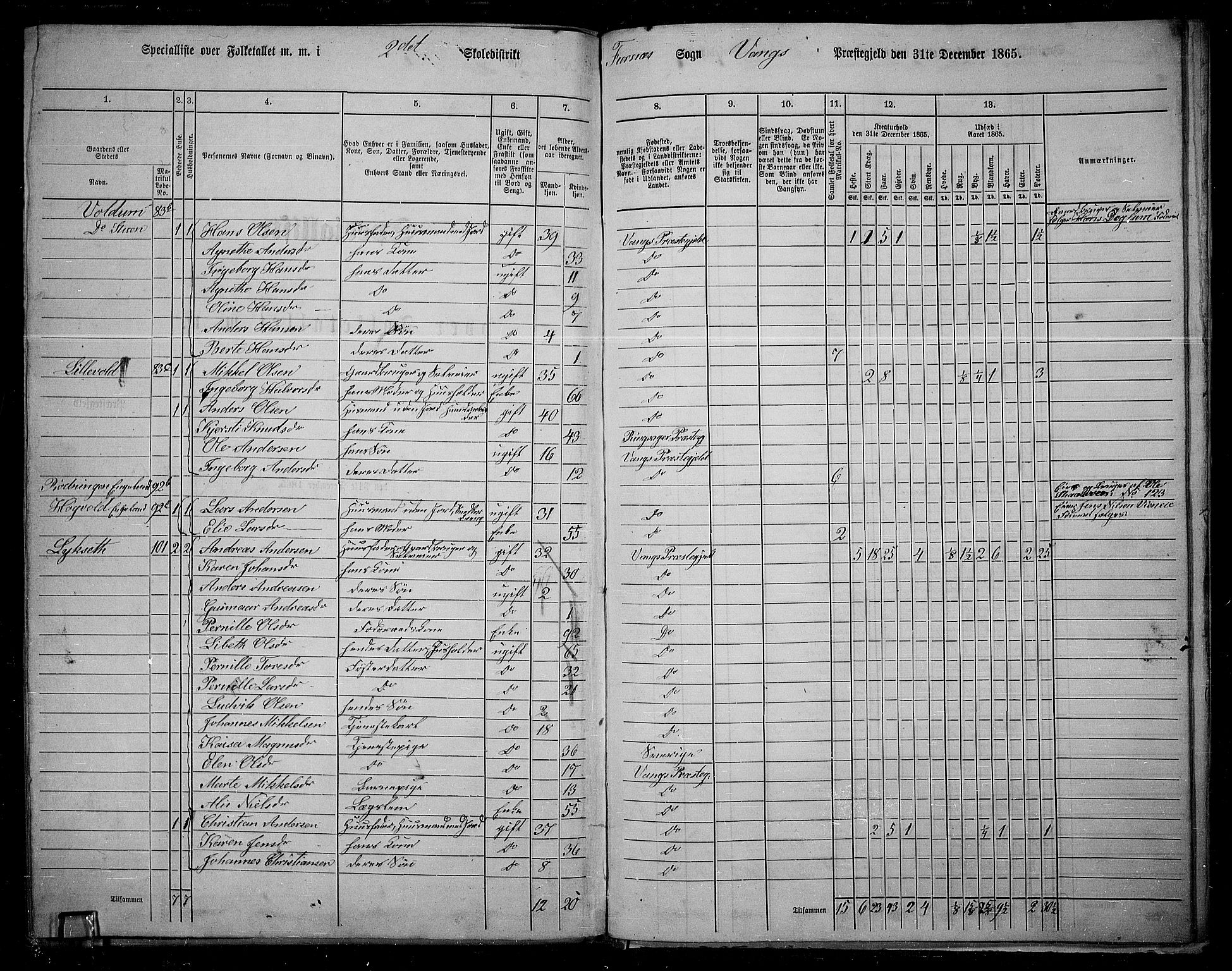 RA, 1865 census for Vang/Vang og Furnes, 1865, p. 122