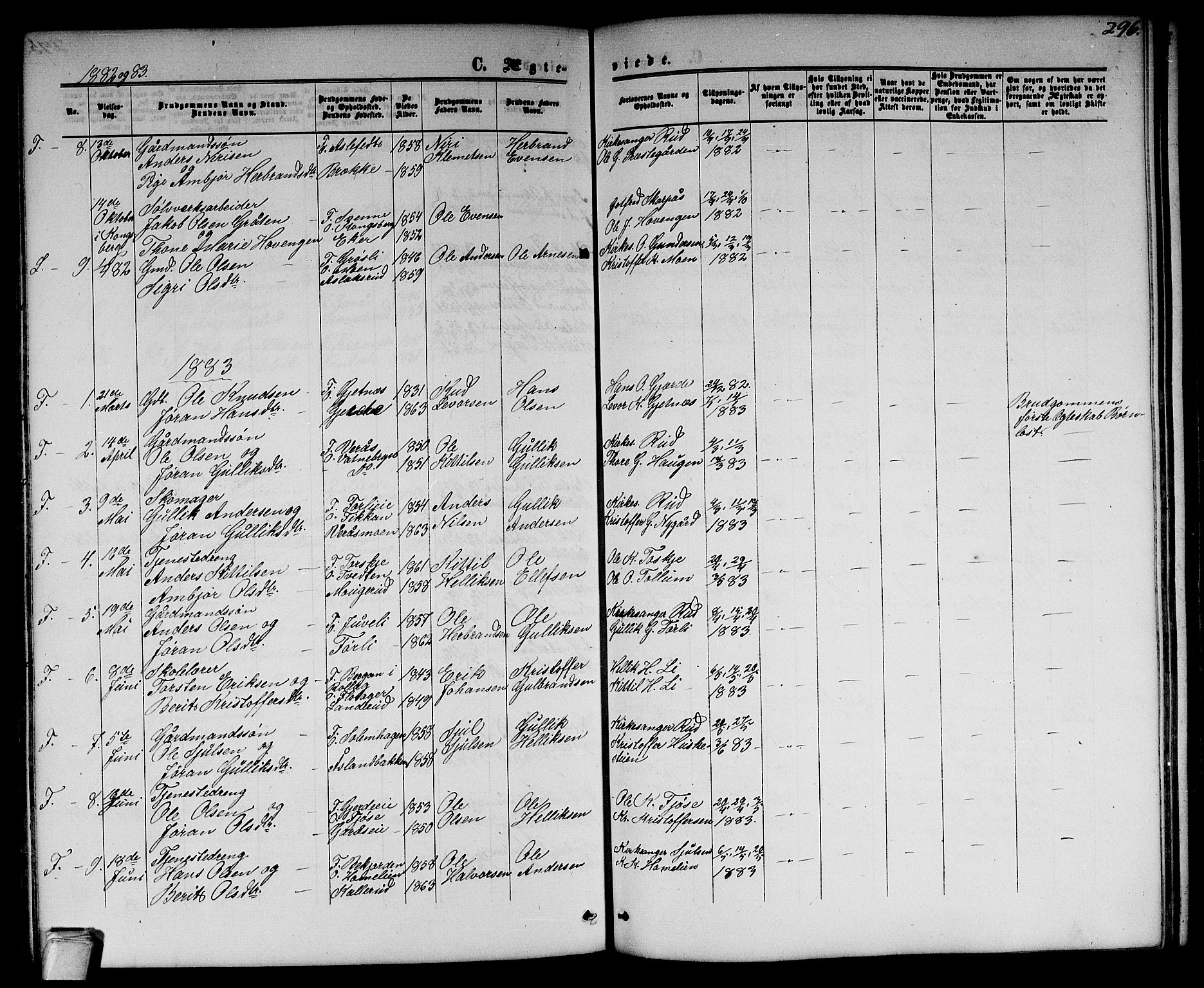 Flesberg kirkebøker, AV/SAKO-A-18/G/Ga/L0003: Parish register (copy) no. I 3, 1861-1889, p. 296