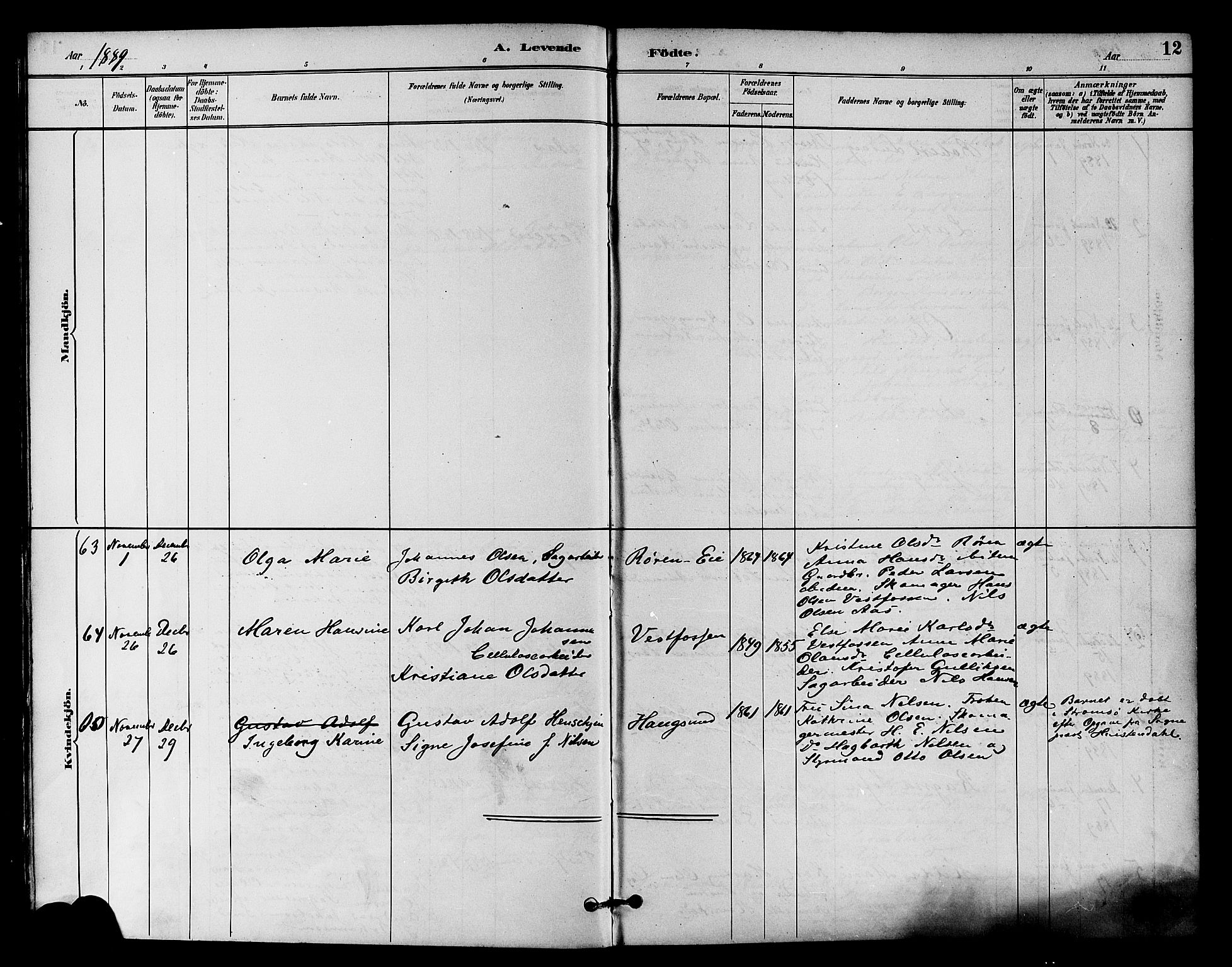 Eiker kirkebøker, SAKO/A-4/F/Fb/L0002: Parish register (official) no. II 2, 1889-1896, p. 12