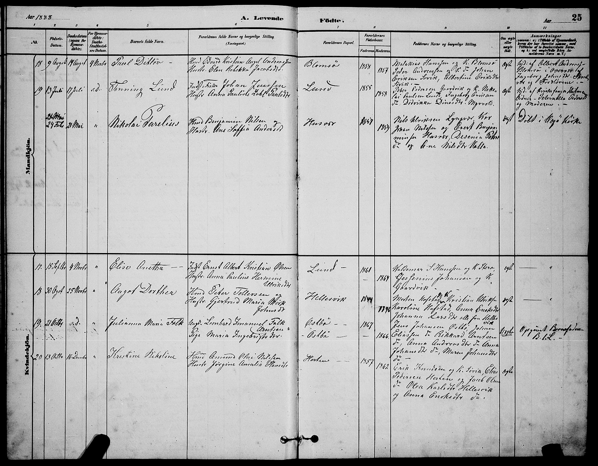 Ministerialprotokoller, klokkerbøker og fødselsregistre - Nordland, AV/SAT-A-1459/830/L0462: Parish register (copy) no. 830C04, 1882-1895, p. 25