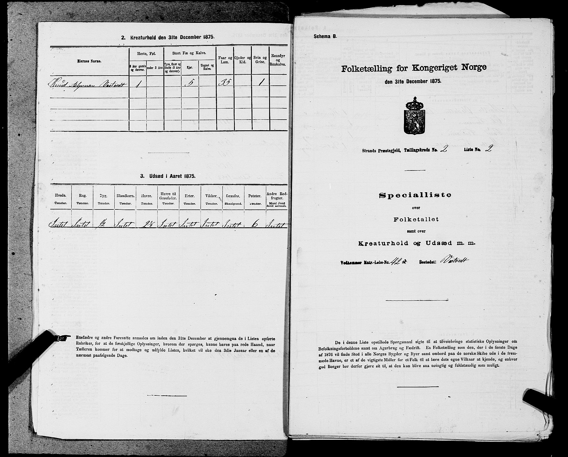 SAST, 1875 census for 1130P Strand, 1875, p. 162