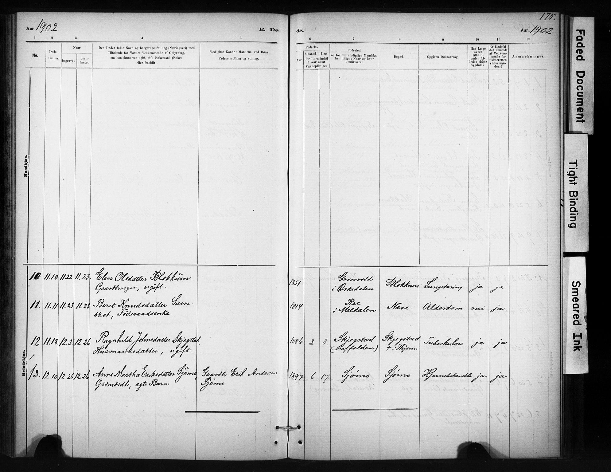Ministerialprotokoller, klokkerbøker og fødselsregistre - Sør-Trøndelag, SAT/A-1456/694/L1127: Parish register (official) no. 694A01, 1887-1905, p. 175