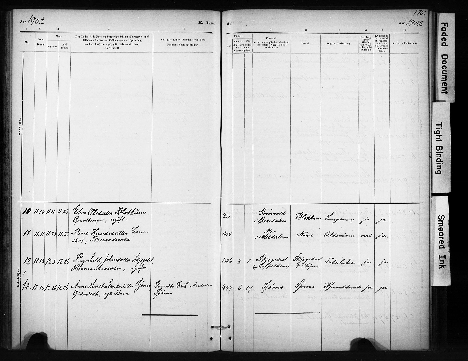 Ministerialprotokoller, klokkerbøker og fødselsregistre - Sør-Trøndelag, AV/SAT-A-1456/694/L1127: Parish register (official) no. 694A01, 1887-1905, p. 175