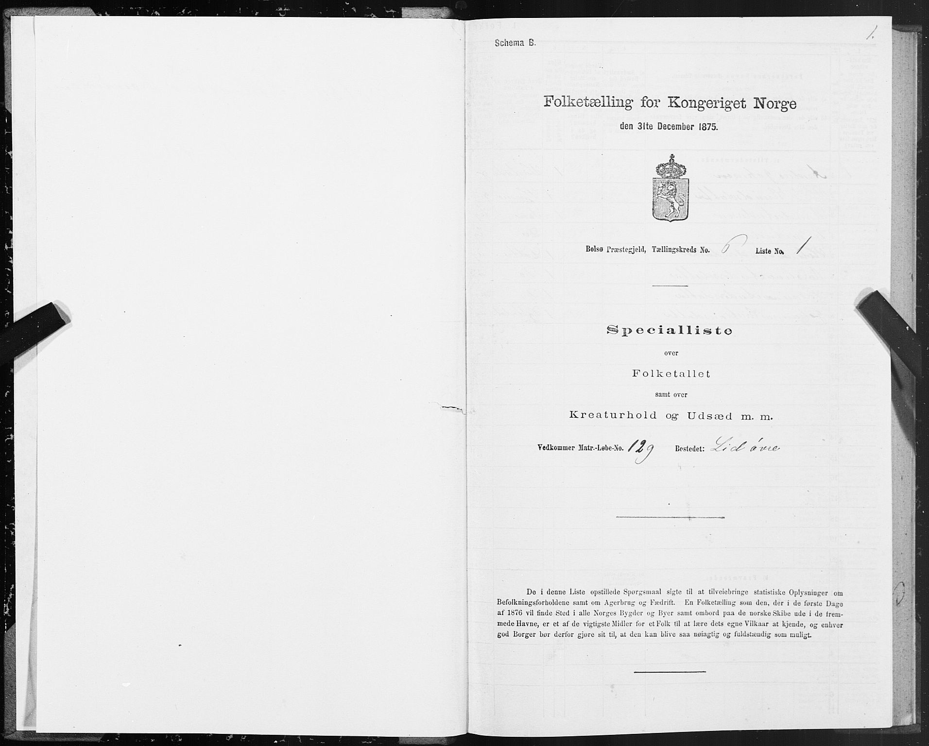 SAT, 1875 census for 1544P Bolsøy, 1875, p. 4001