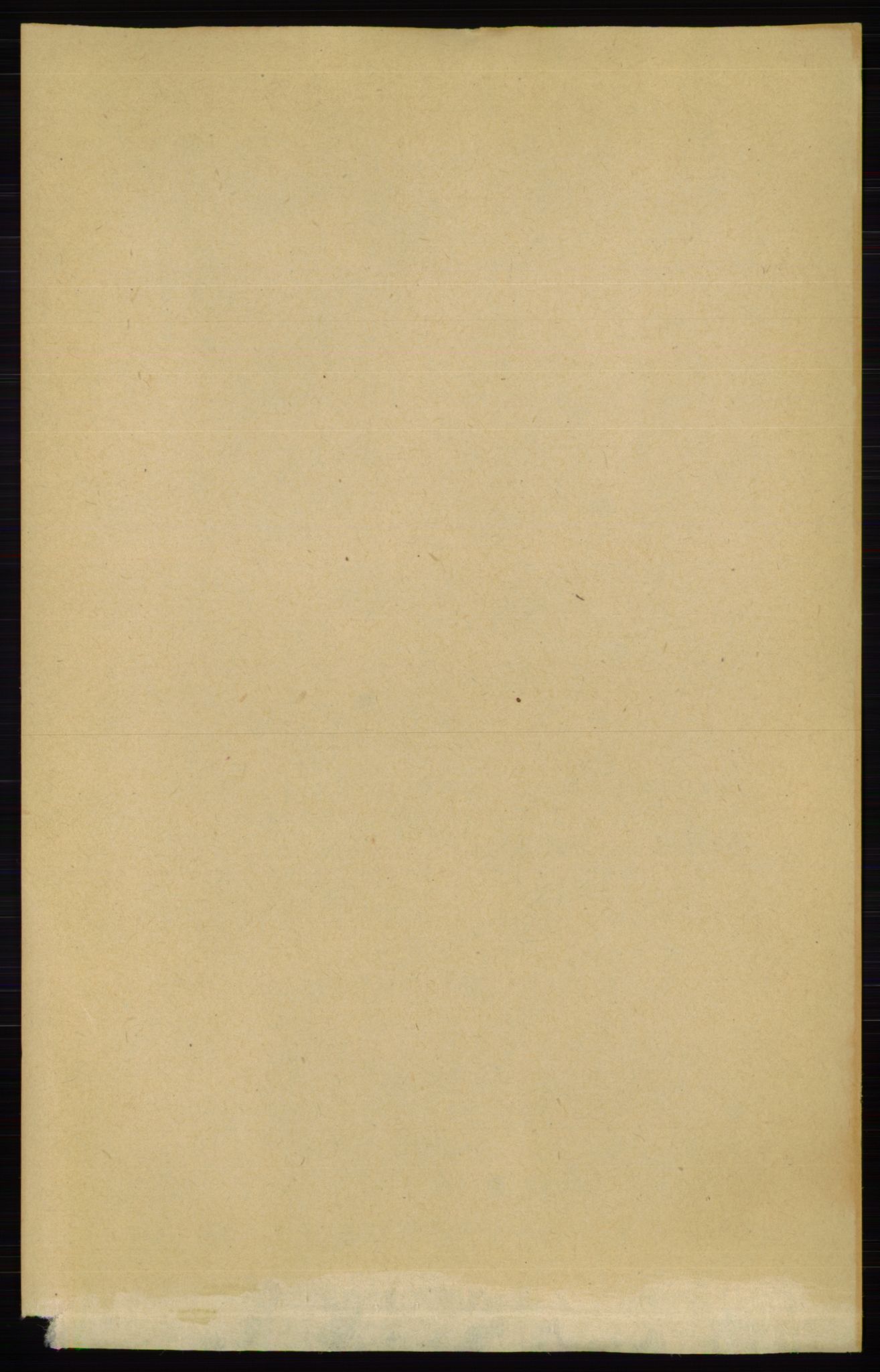 RA, 1891 census for 0826 Tinn, 1891, p. 45