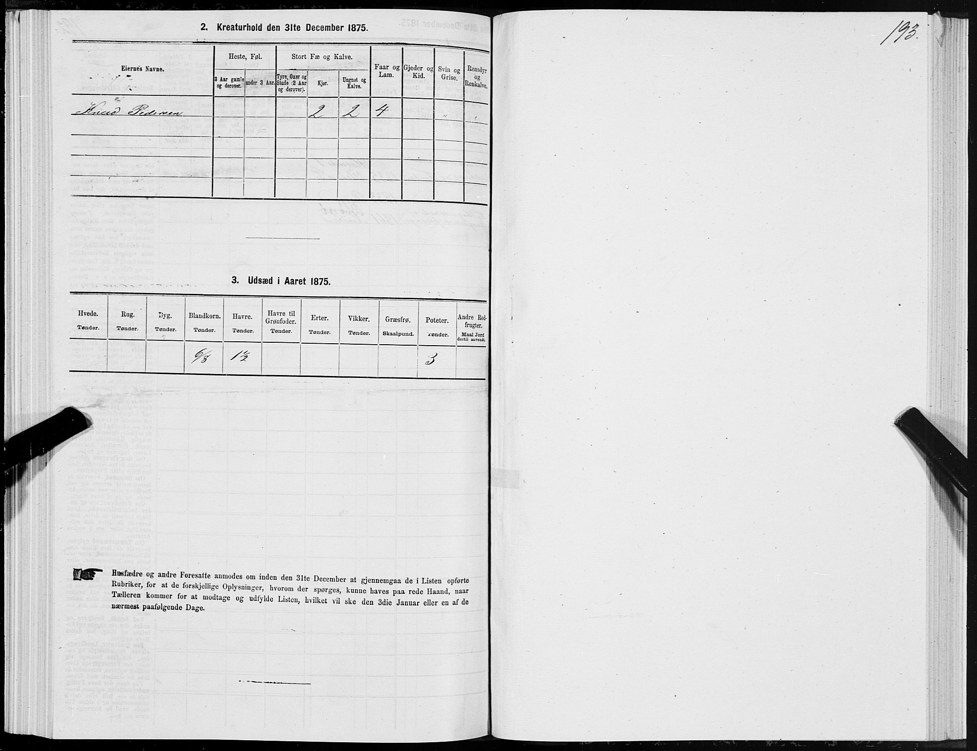 SAT, 1875 census for 1531P Borgund, 1875, p. 4193