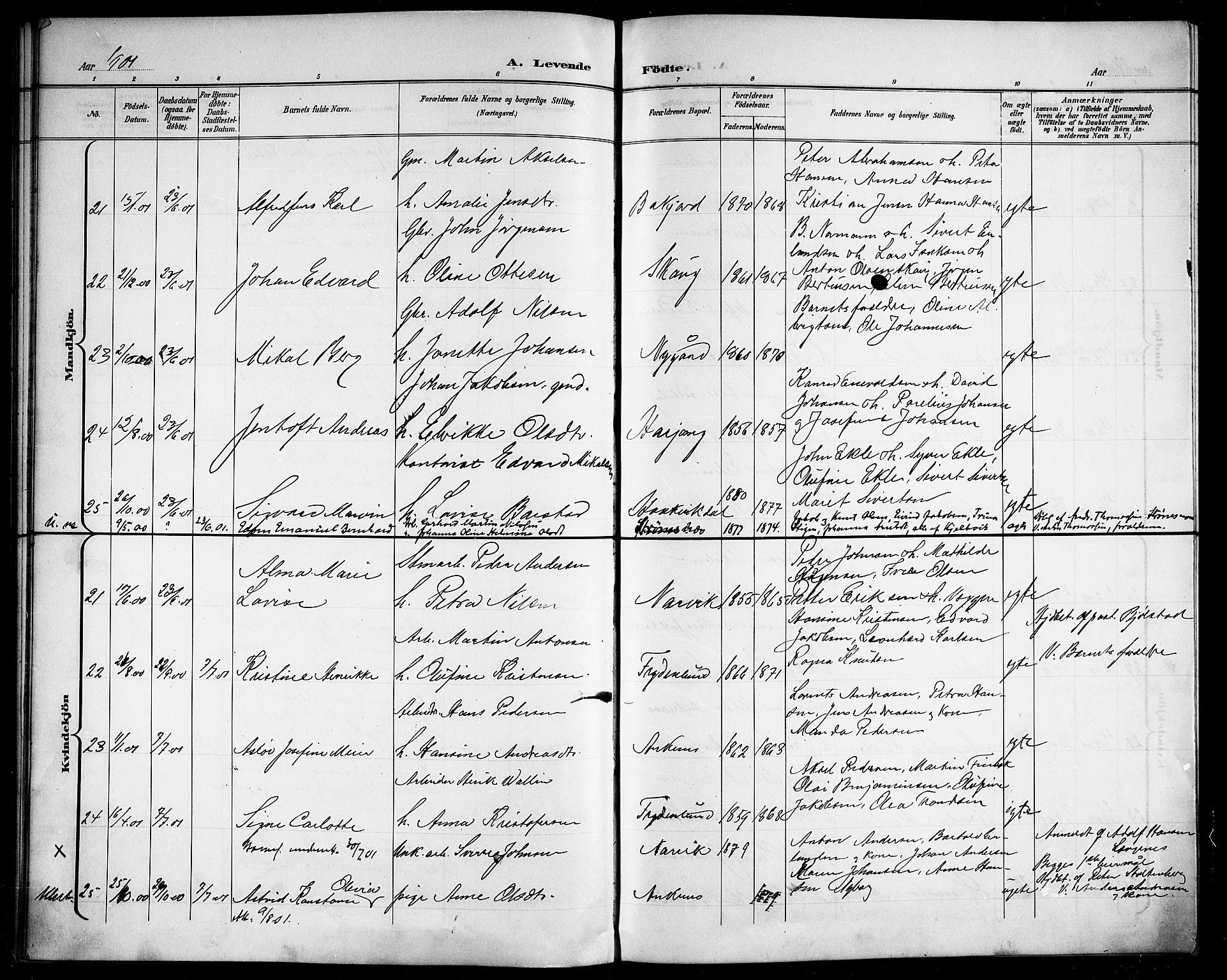 Ministerialprotokoller, klokkerbøker og fødselsregistre - Nordland, AV/SAT-A-1459/866/L0953: Parish register (copy) no. 866C02, 1900-1905