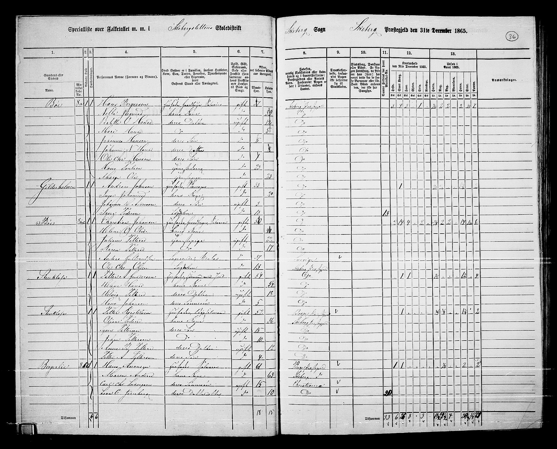 RA, 1865 census for Skjeberg, 1865, p. 34