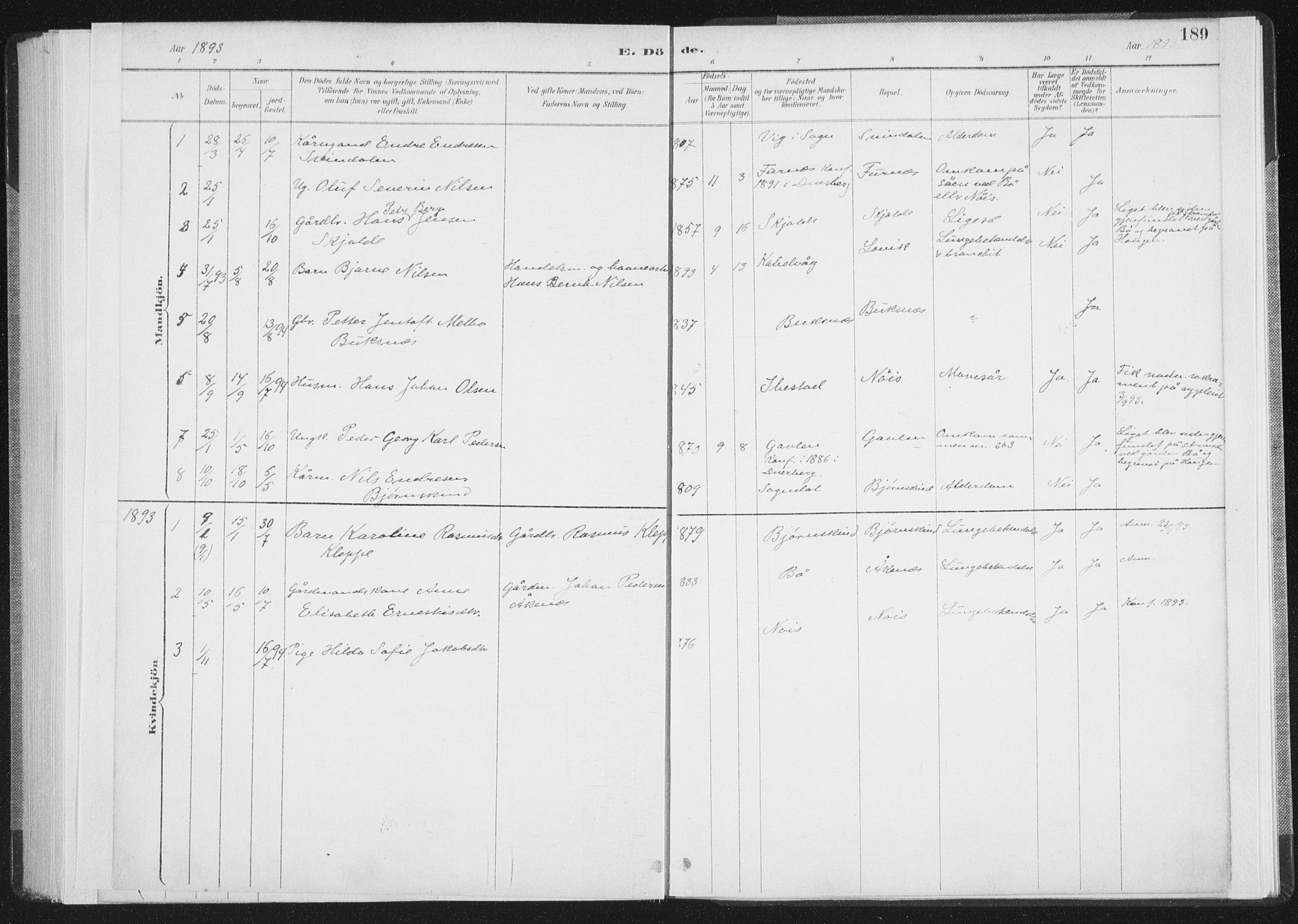 Ministerialprotokoller, klokkerbøker og fødselsregistre - Nordland, SAT/A-1459/898/L1422: Parish register (official) no. 898A02, 1887-1908, p. 189