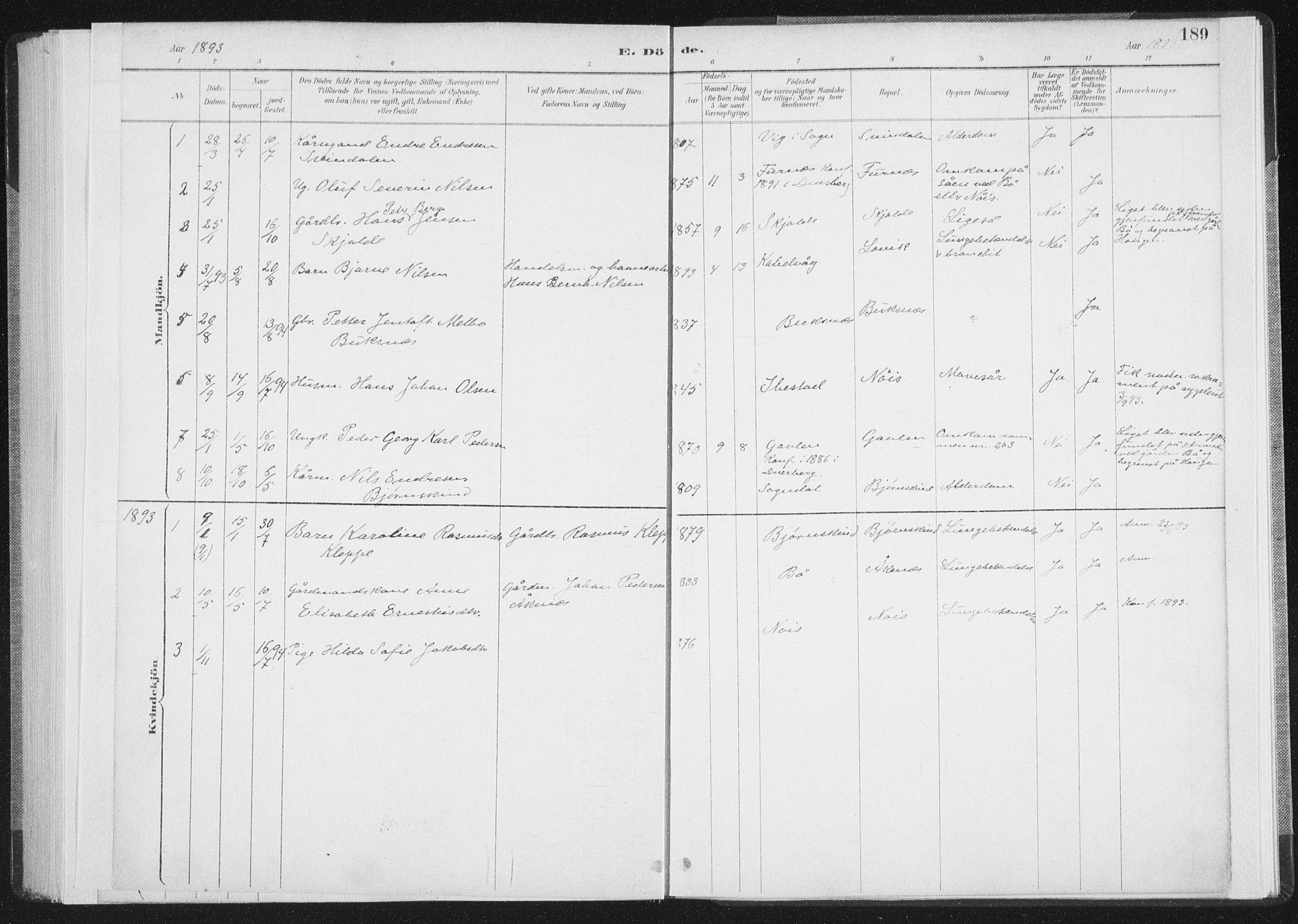 Ministerialprotokoller, klokkerbøker og fødselsregistre - Nordland, AV/SAT-A-1459/898/L1422: Parish register (official) no. 898A02, 1887-1908, p. 189