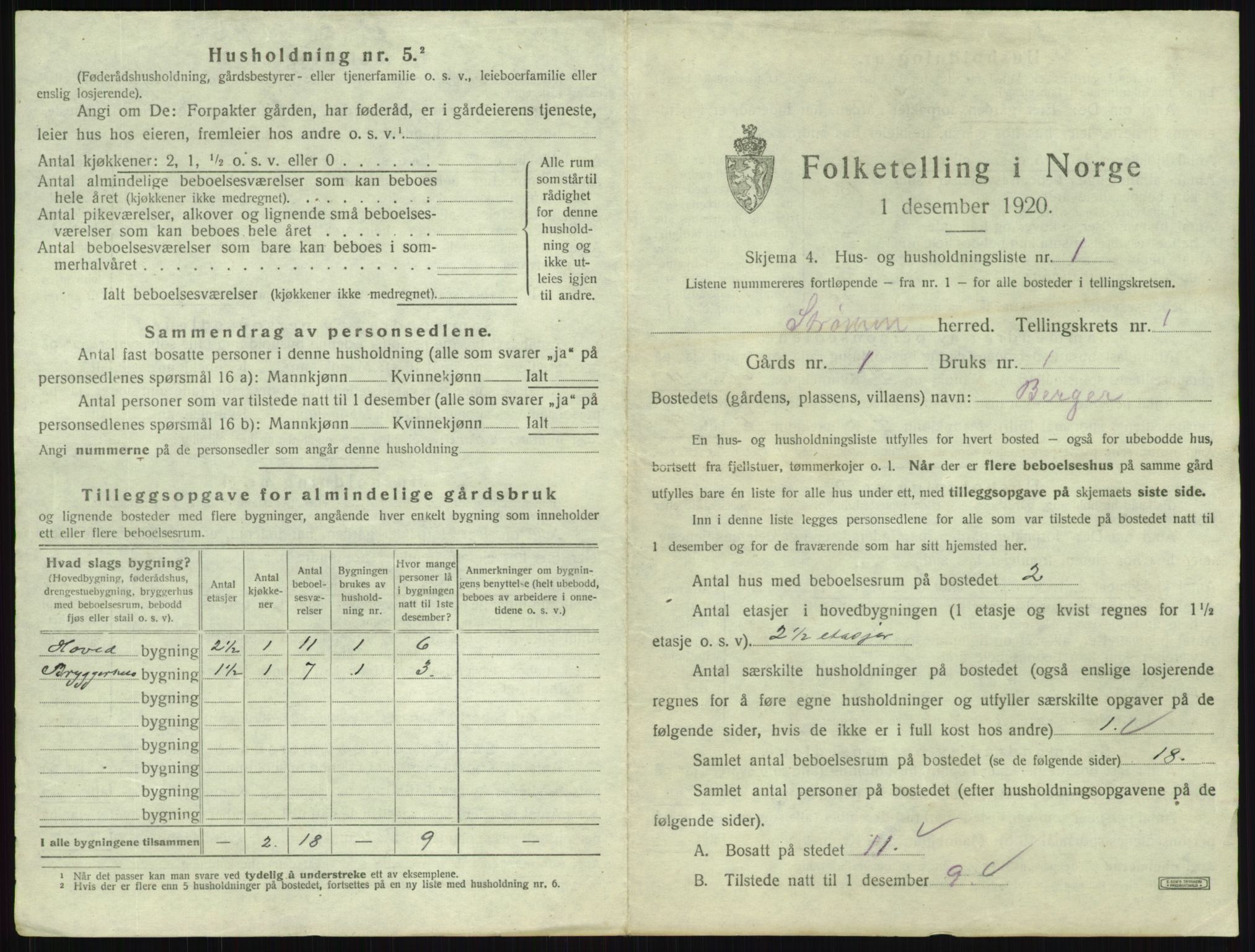 SAKO, 1920 census for Strømm, 1920, p. 20