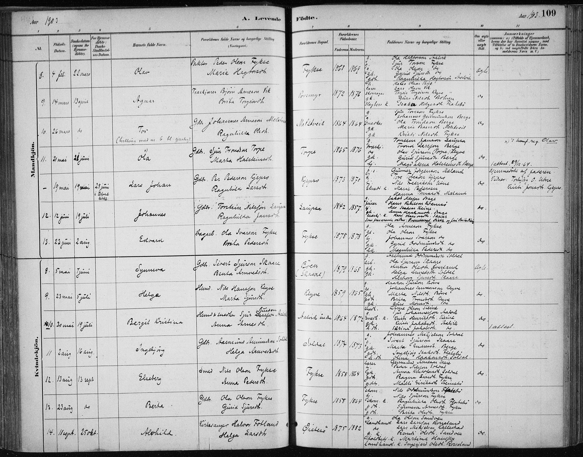 Kvam sokneprestembete, SAB/A-76201/H/Haa: Parish register (official) no. C  1, 1880-1906, p. 109
