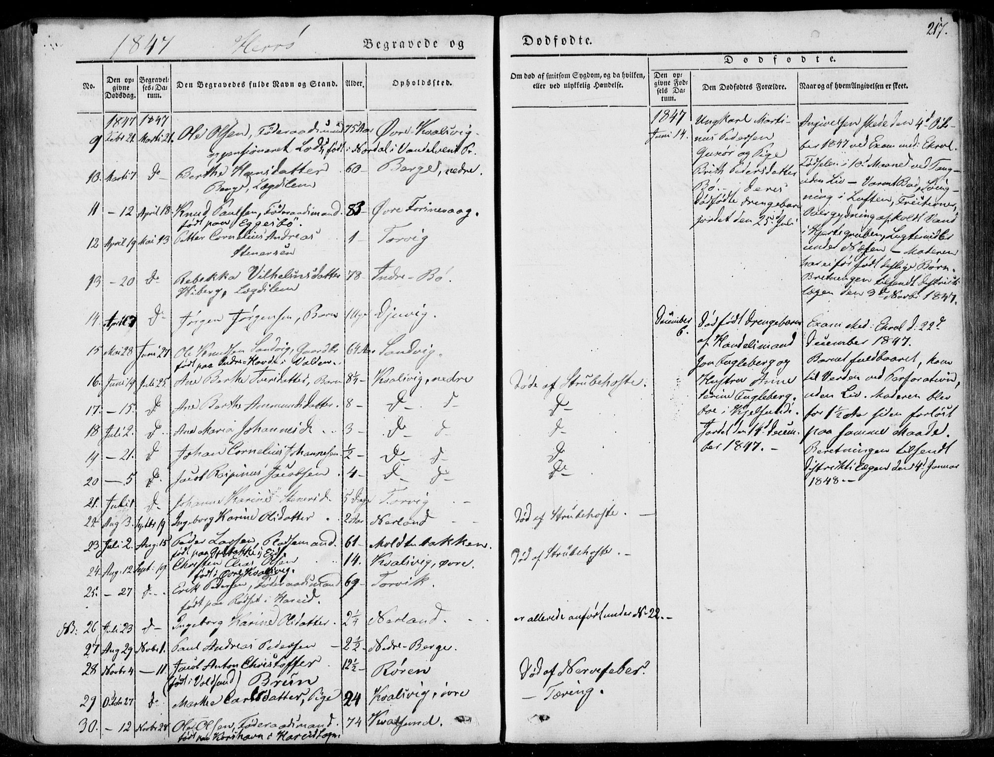 Ministerialprotokoller, klokkerbøker og fødselsregistre - Møre og Romsdal, AV/SAT-A-1454/507/L0070: Parish register (official) no. 507A05, 1842-1873, p. 217