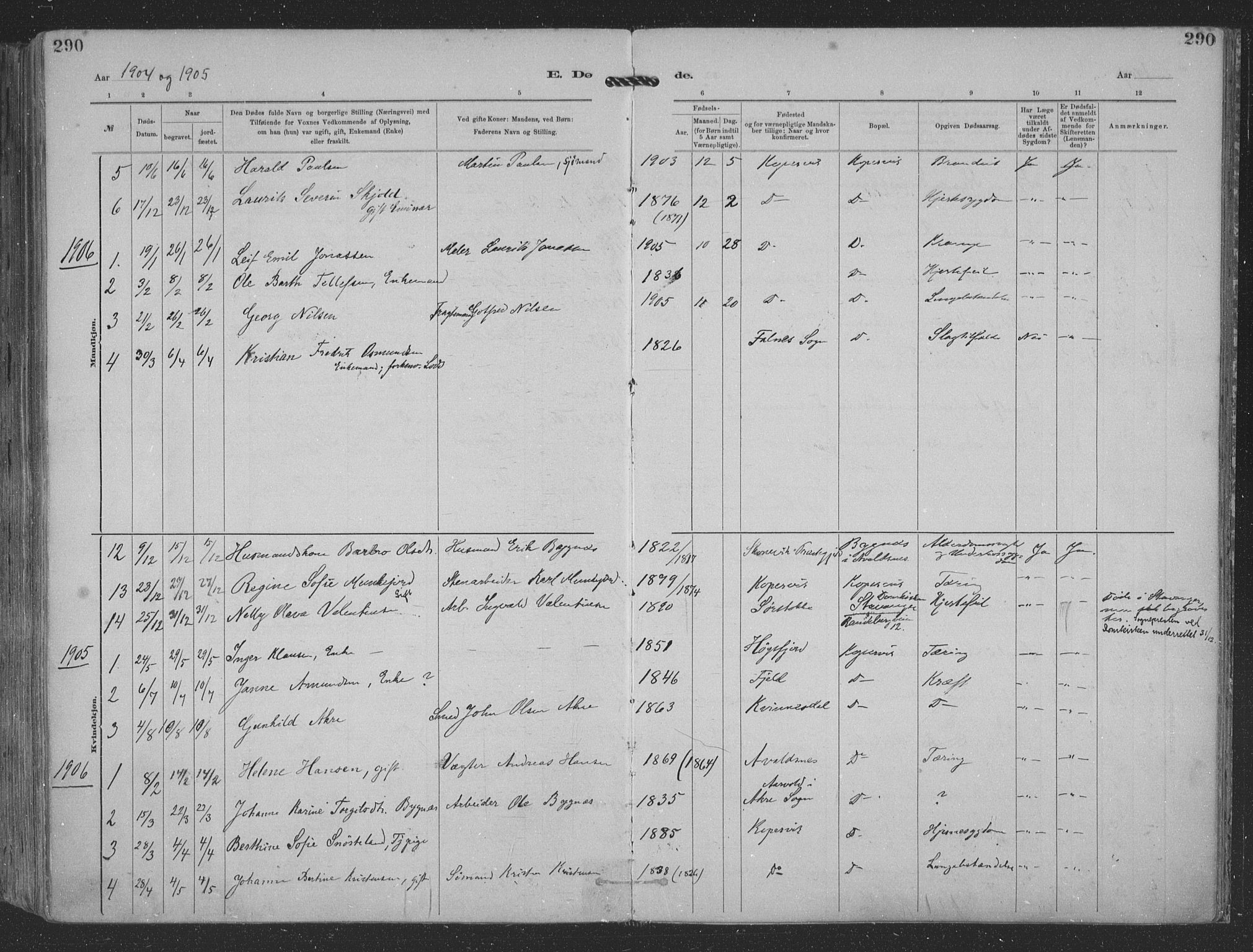 Kopervik sokneprestkontor, SAST/A-101850/H/Ha/Haa/L0001: Parish register (official) no. A 1, 1880-1919, p. 290