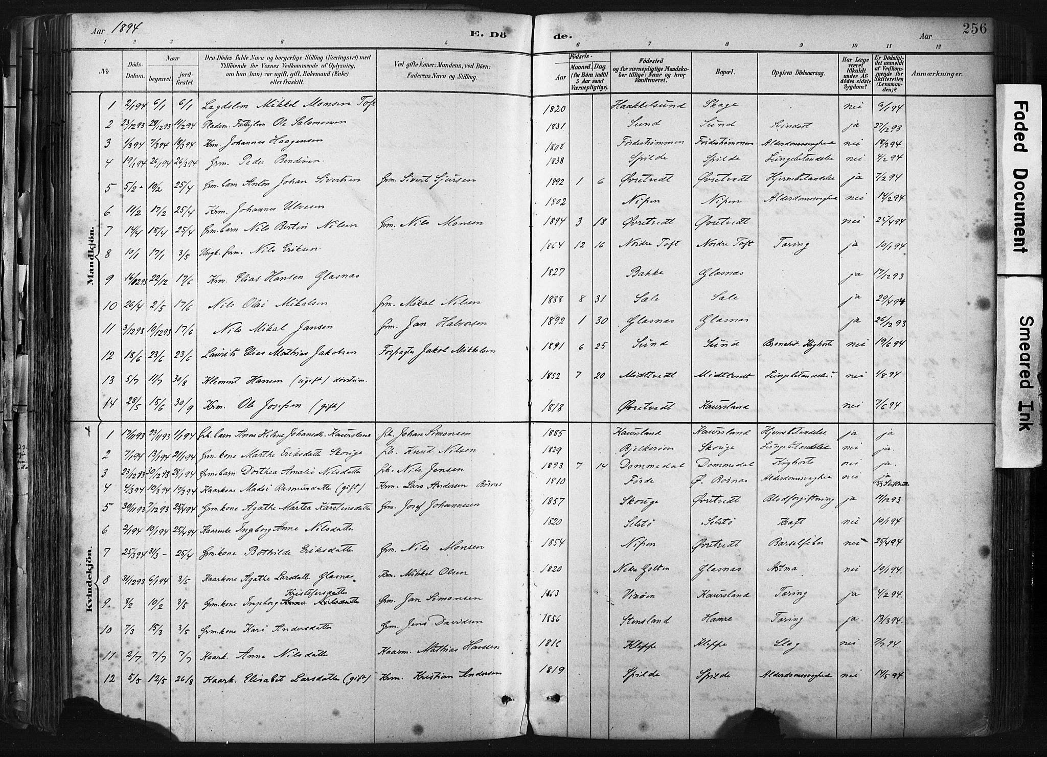 Sund sokneprestembete, AV/SAB-A-99930: Parish register (official) no. B 1, 1882-1907, p. 256